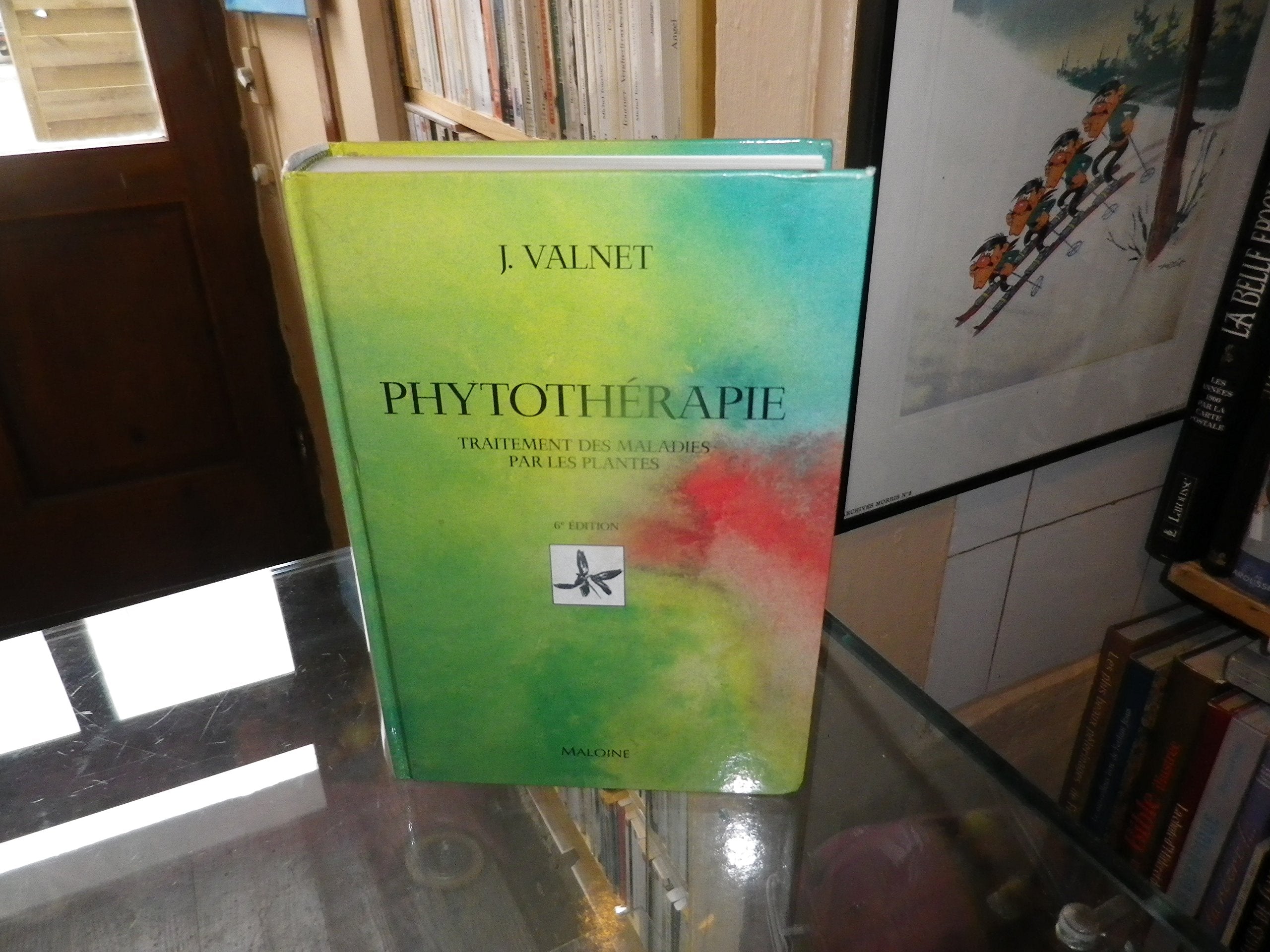 Phytotherapie. Traitement Des Maladies Par Les Plantes book