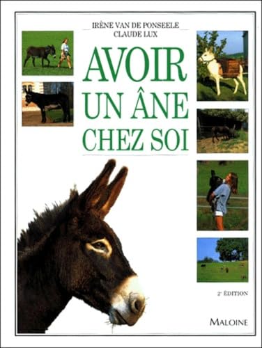 Avoir un âne chez soi Leisure & Fun