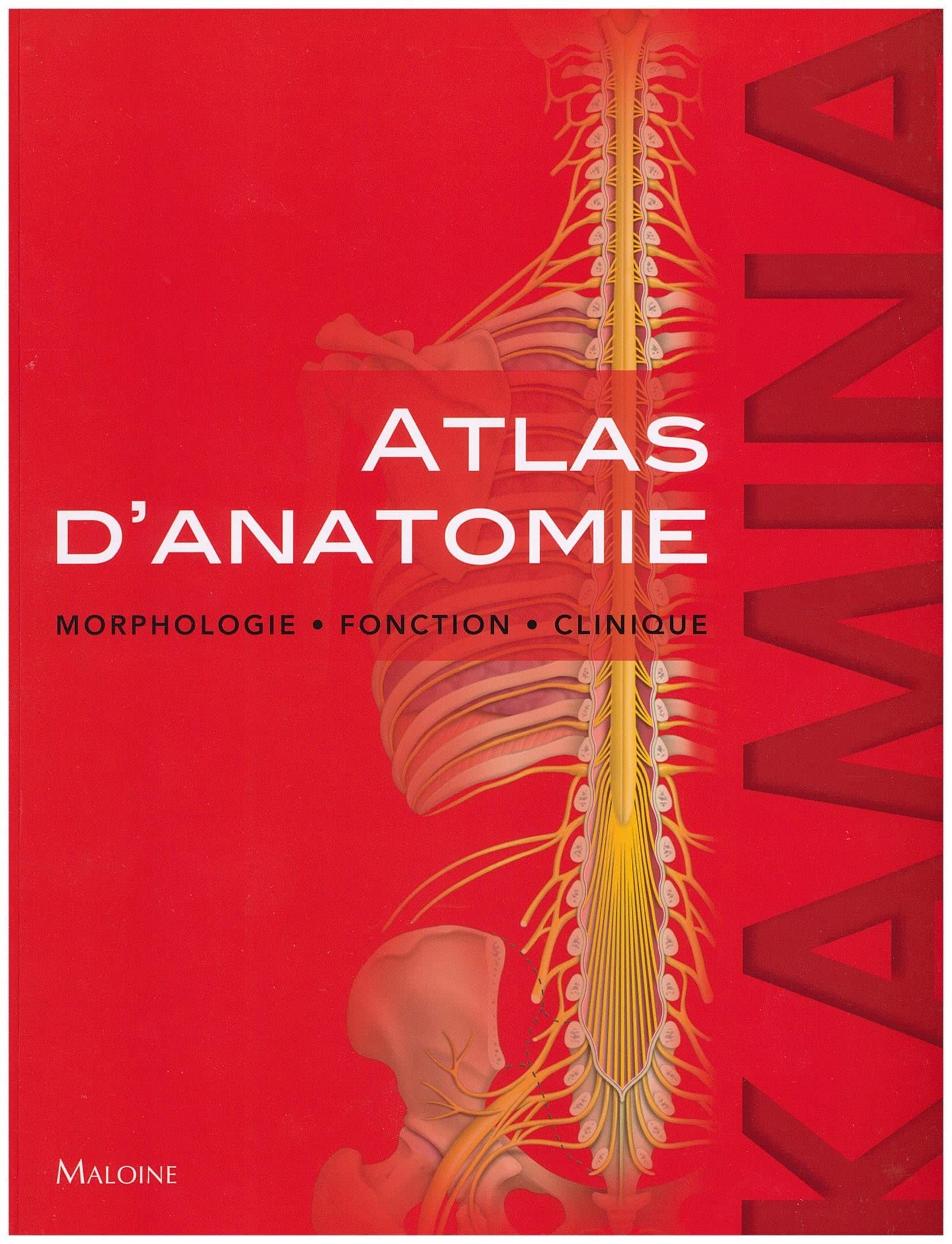 Atlas d'anatomie. morphologie - fonction - clinique book