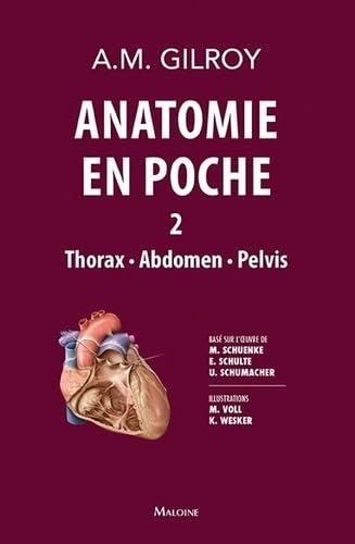 anatomie en poche vol 2: VOLUME 2 : THORAX - ABDOMEN - PELVIS book
