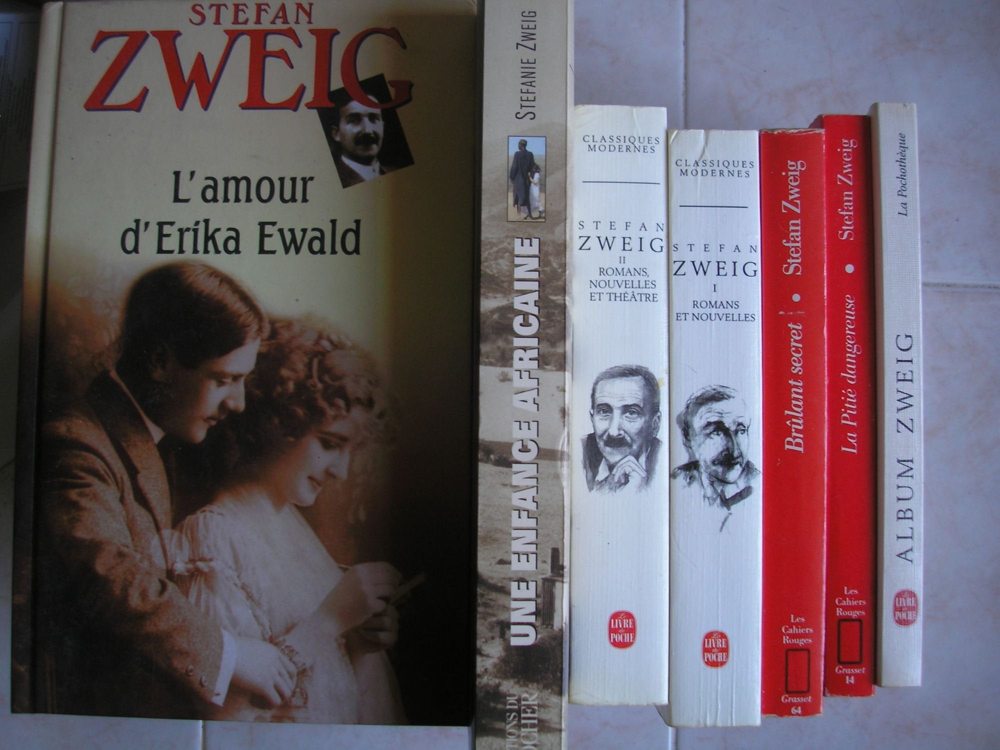 S. zweig - lot 14 livres : la guérison par l'esprit - vingt quatre heures de la vie d'une femme x2 (francais + bilingue) - la pitié dangereuse - brulant secret - la confusion des sentiments - romans et nouvelles tomes 1 + 2 - le voyage dans le passé -... book