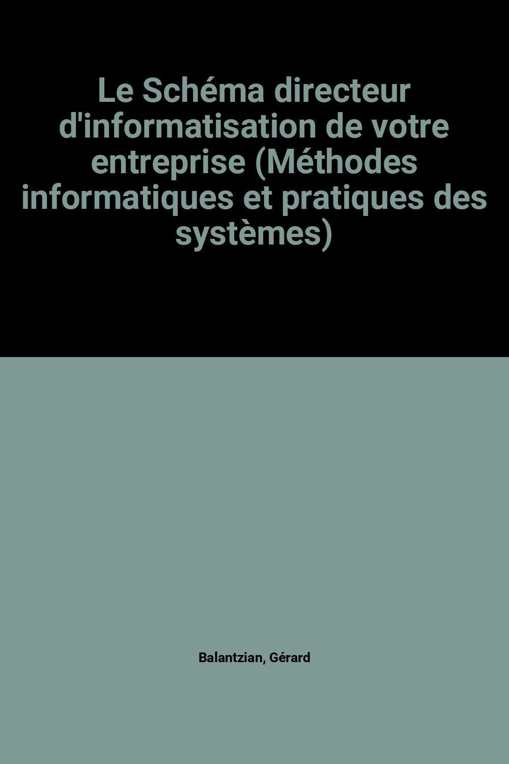 Le Schéma directeur d'informatisation de votre entreprise (Méthodes informatiques et pratiques des systèmes) Books