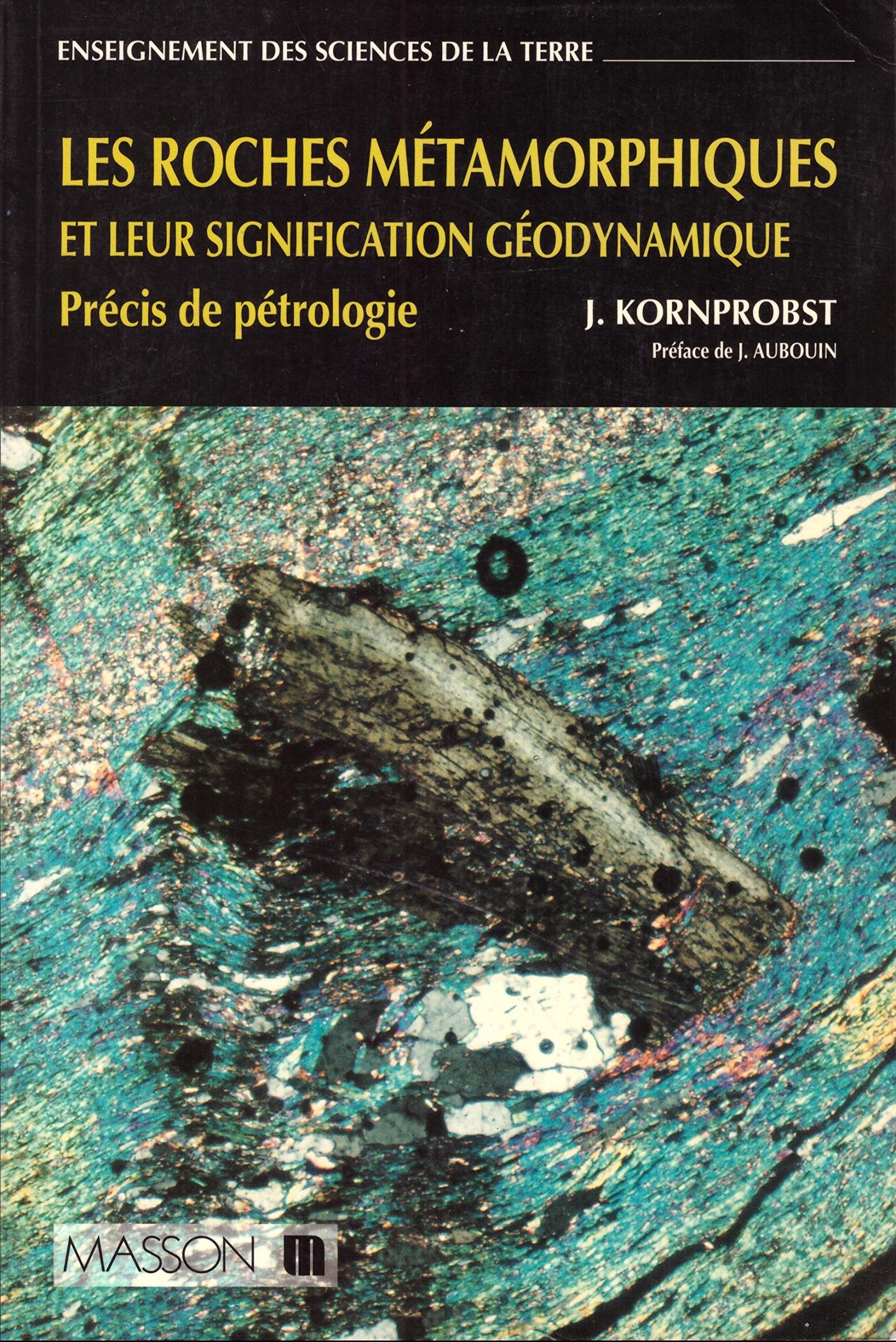Les roches métamorphiques et leur signification géodynamique: Précis de pétrologie Books