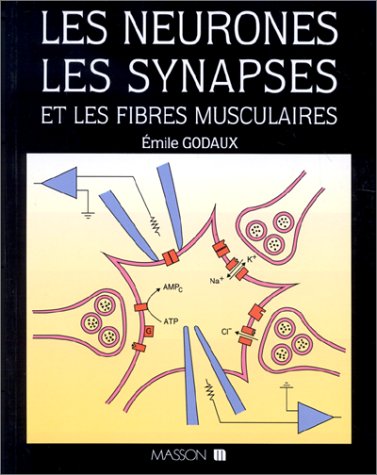 Les neurones, les synapses et les fibres musculaires Books