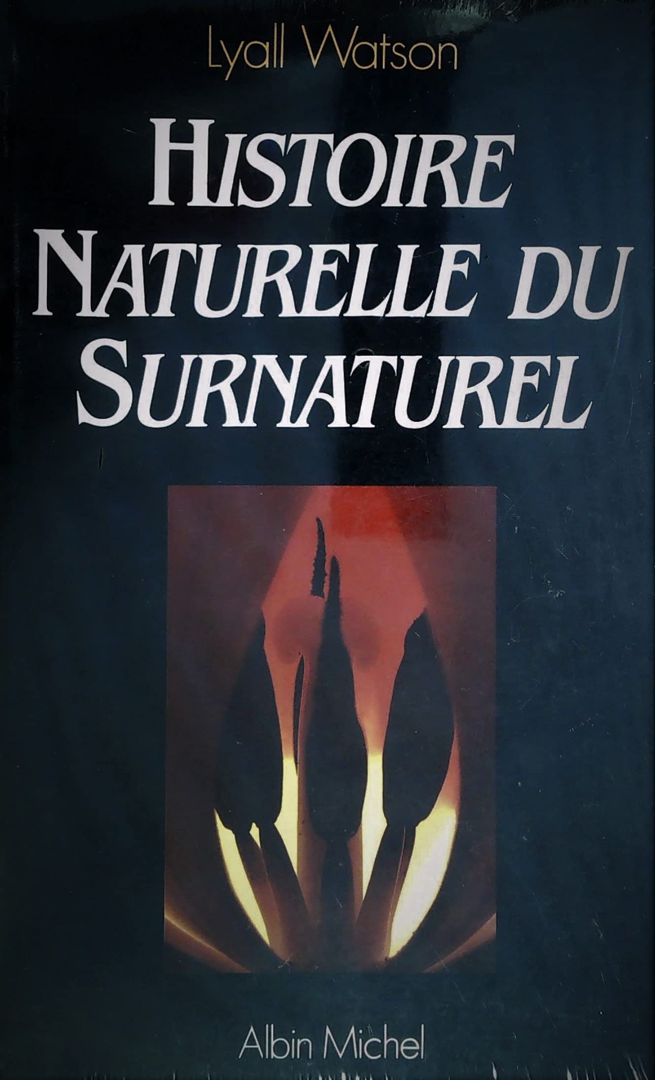 Histoire naturelle du surnaturel Books