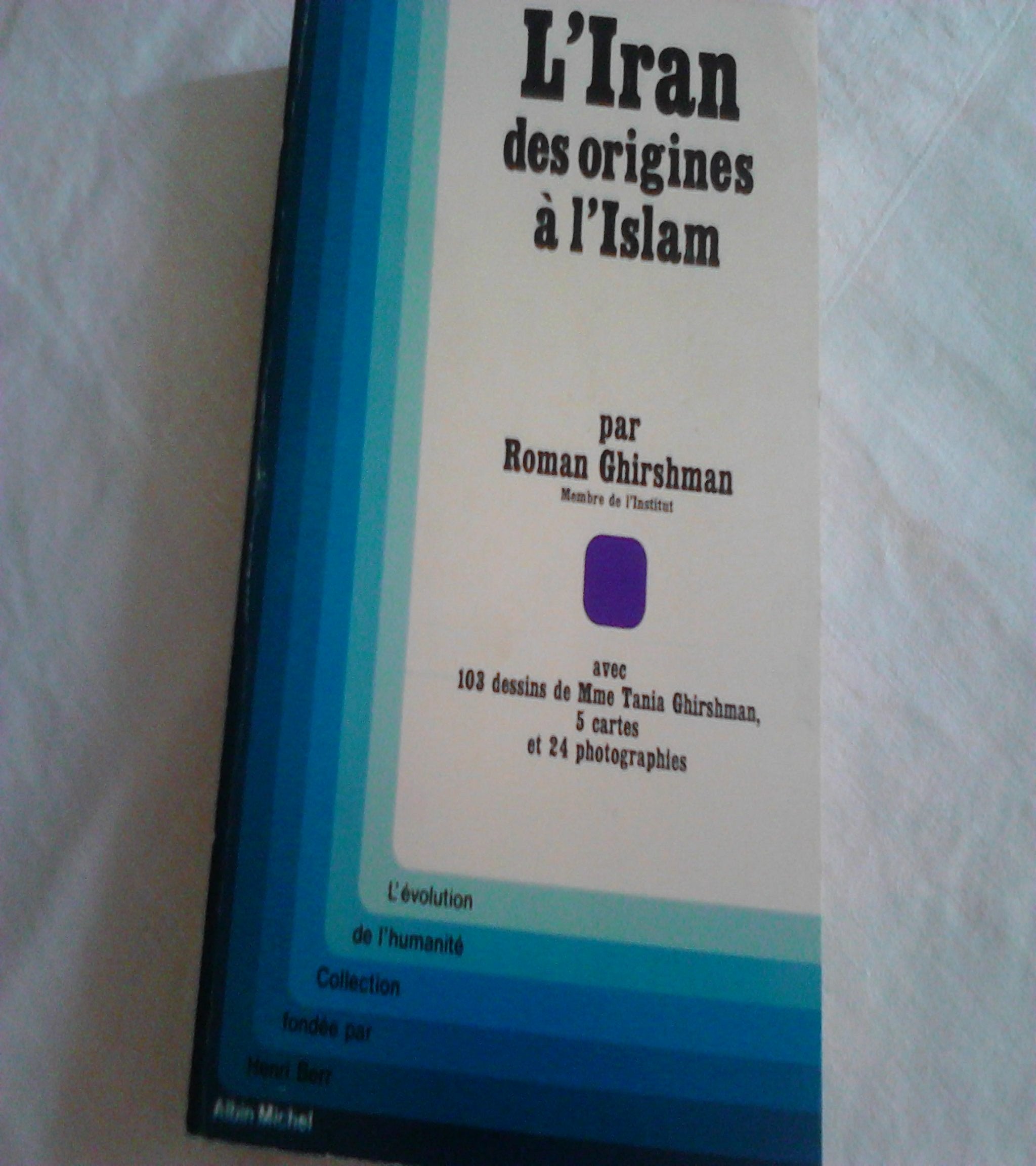 L'Iran, des origines à l'Islam book