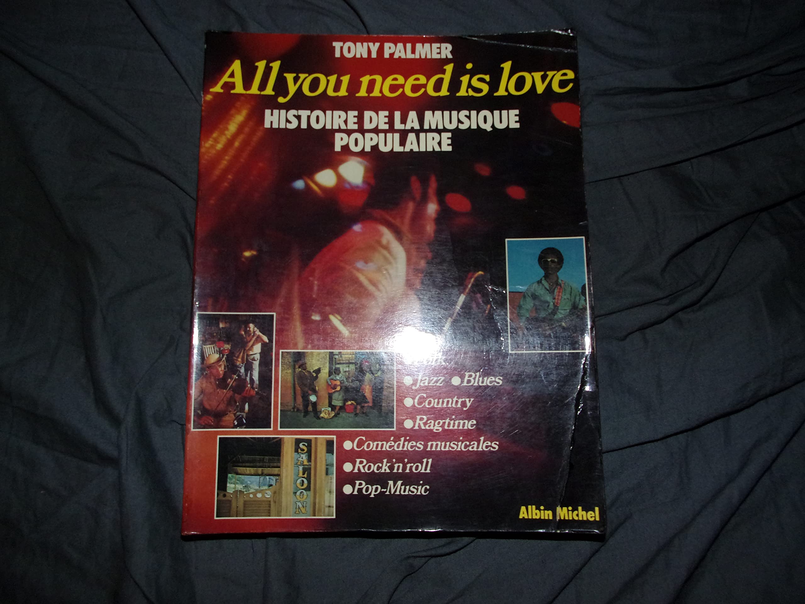 All you need is love : histoire de la musique populaire Books