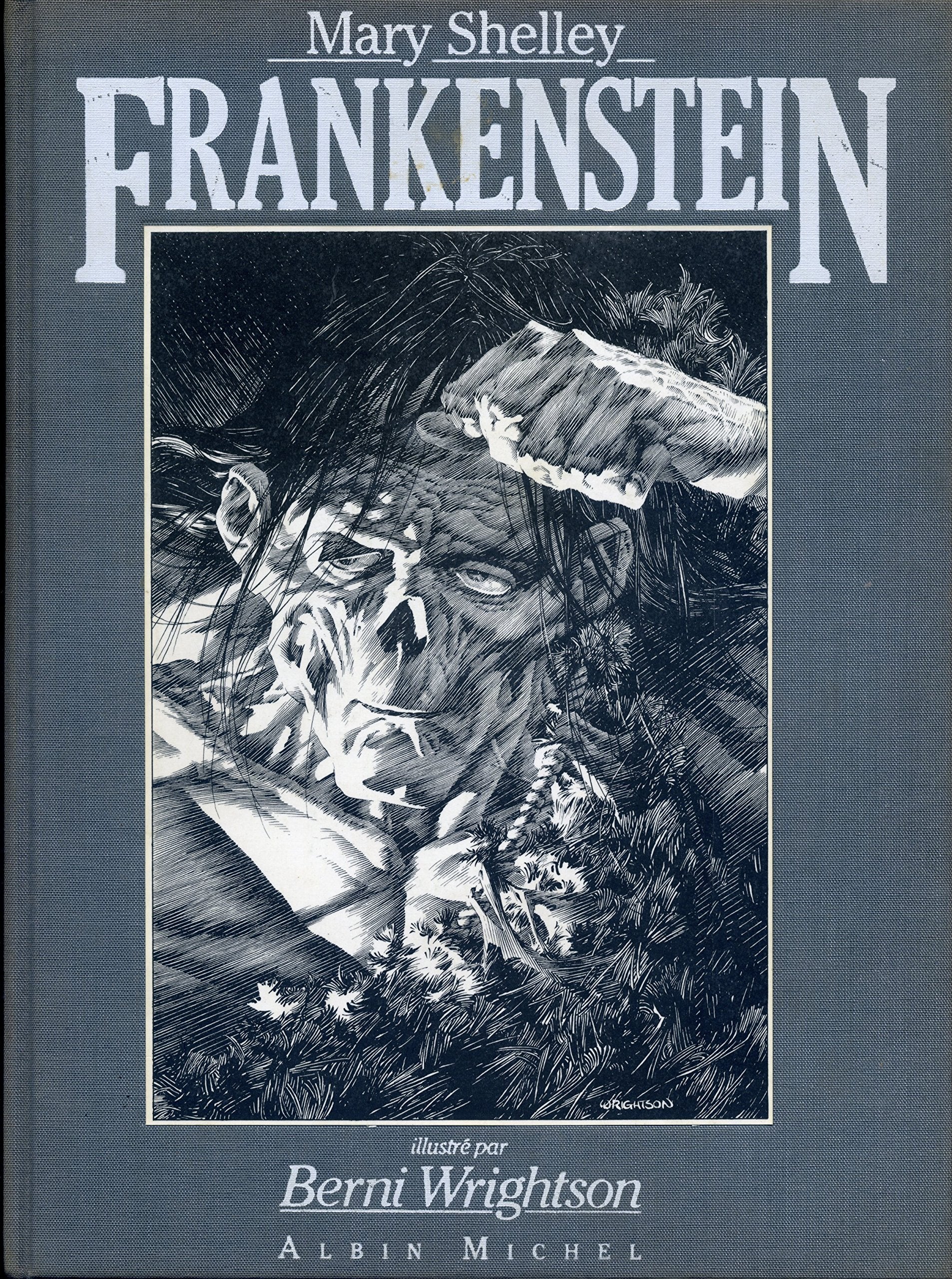 Frankenstein ou Le Prométhée des temps modernes Books