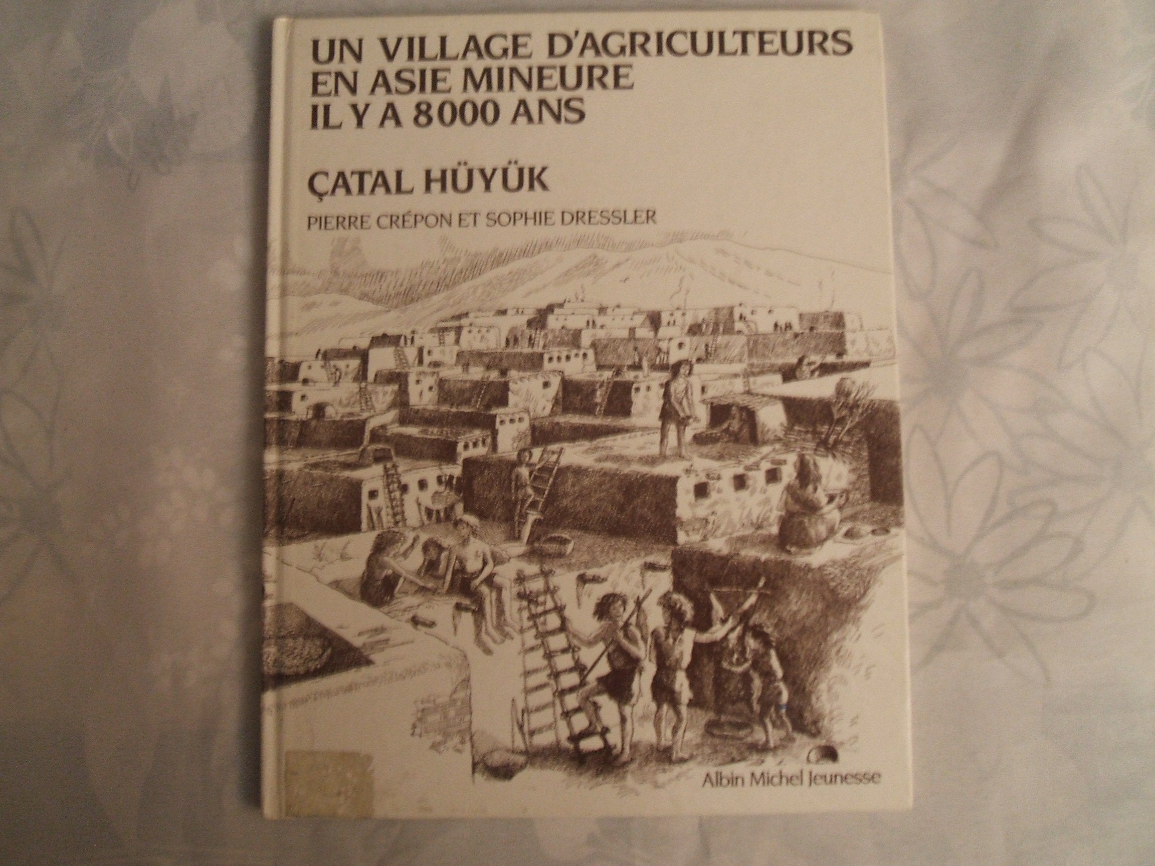 Un Village d'agriculteurs en Asie Mineure il y a 8000 ans : Catal Huyuk Books
