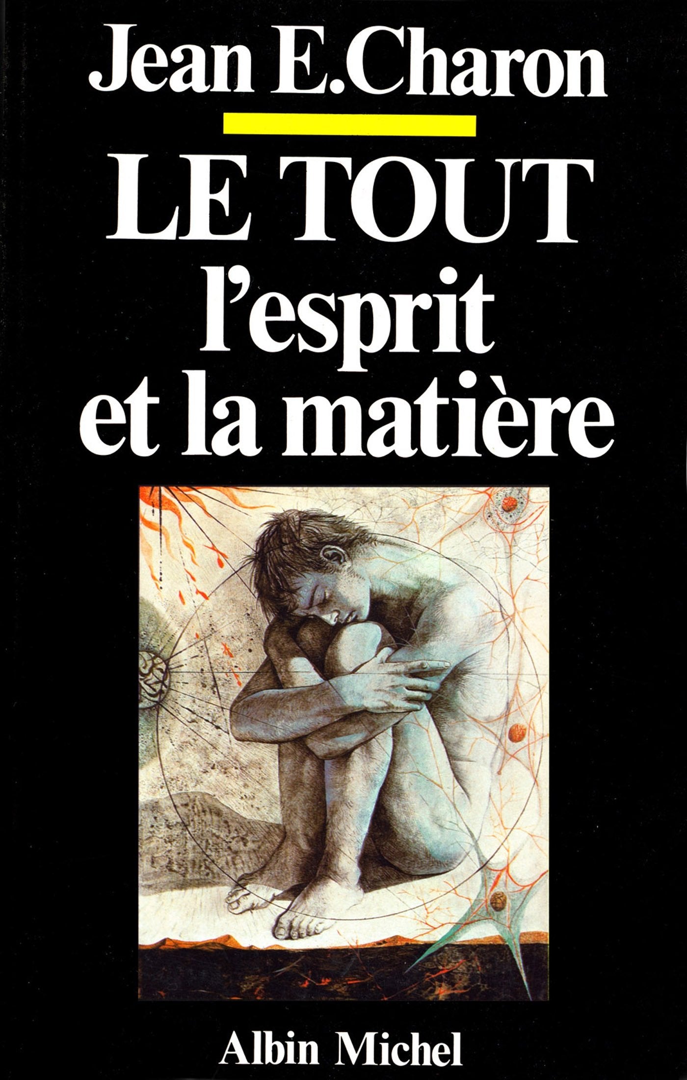 Tout, L'Esprit Et La Matiere (Le): Le Tout,l'esprit et la matière Philosophy