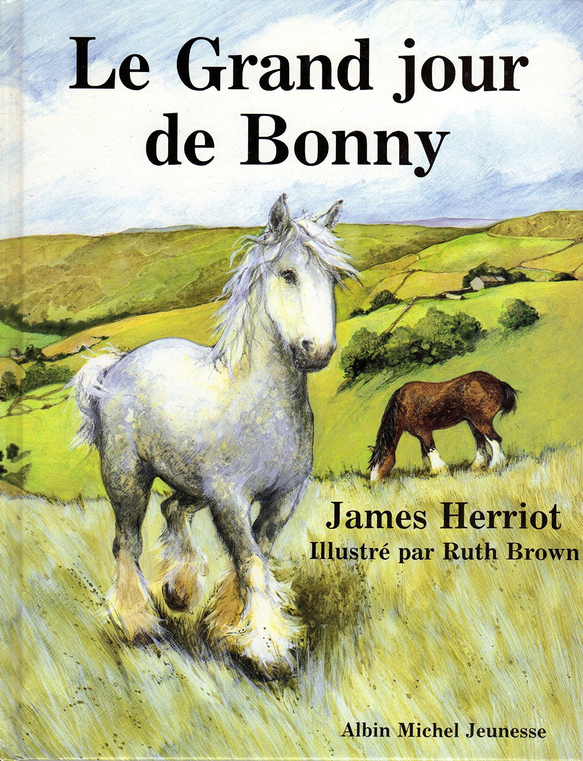 Le Grand jour de Bonny Books
