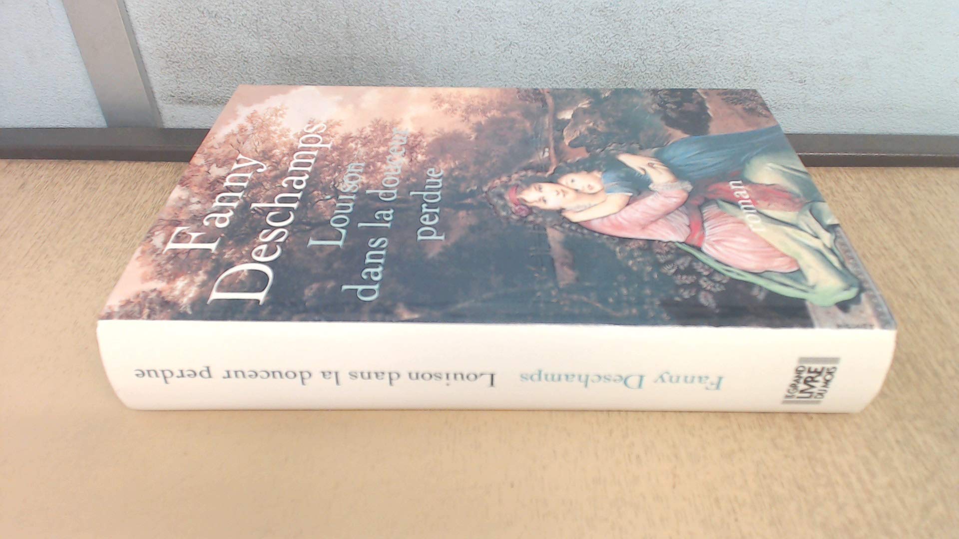 Louison dans la douceur perdue book