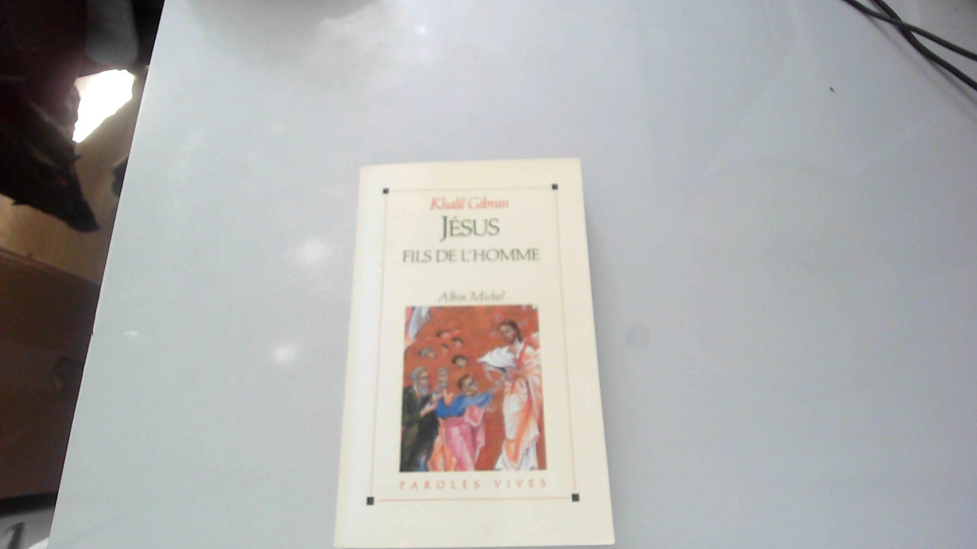 Jésus, fils de l'homme book
