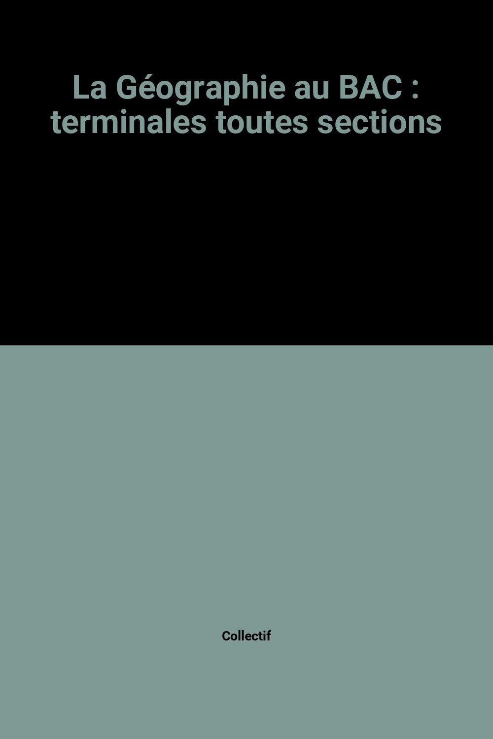 La Géographie au BAC : terminales toutes sections book
