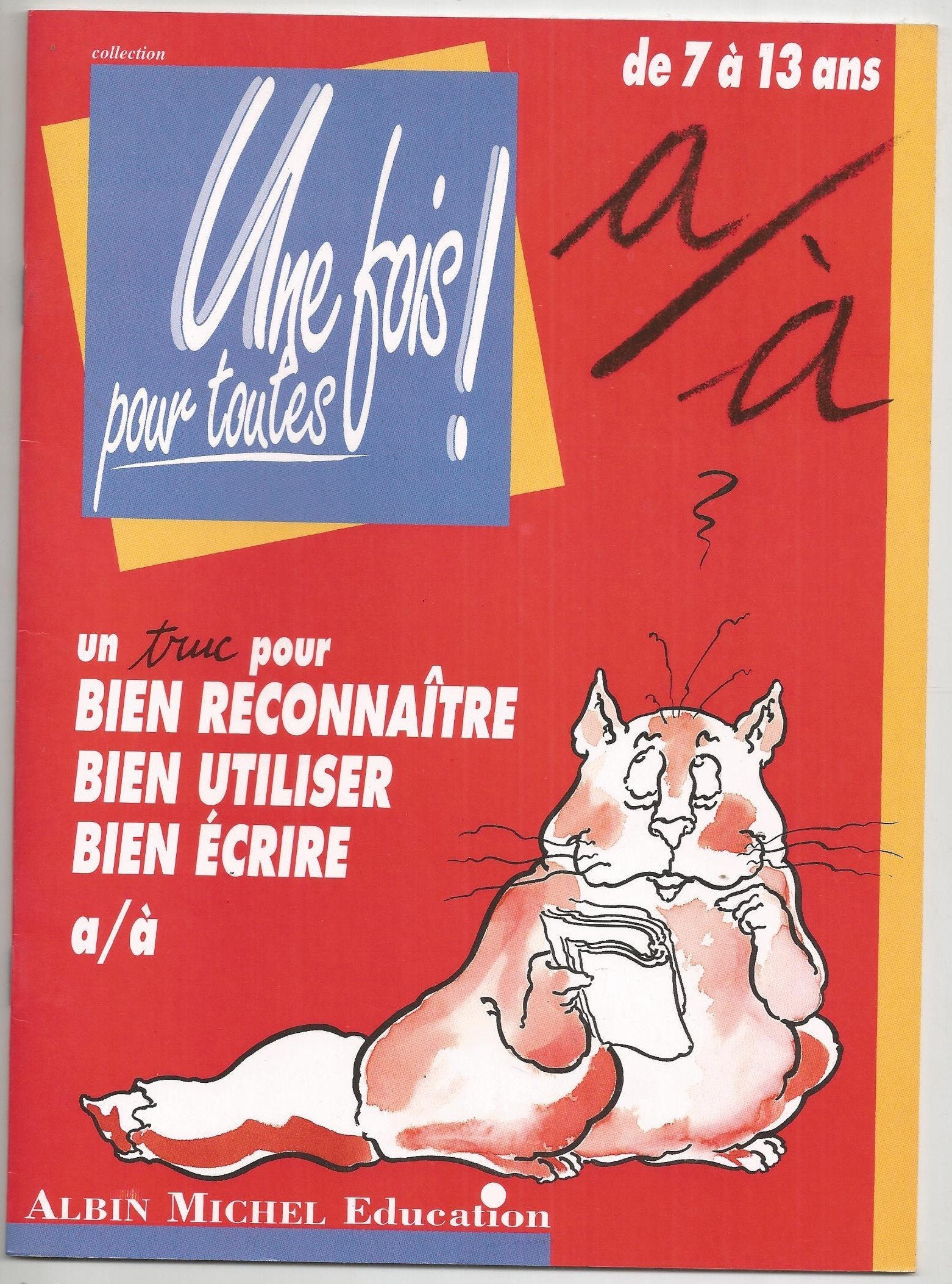 Bien reconnaître, bien utiliser, bien écrire a-à book