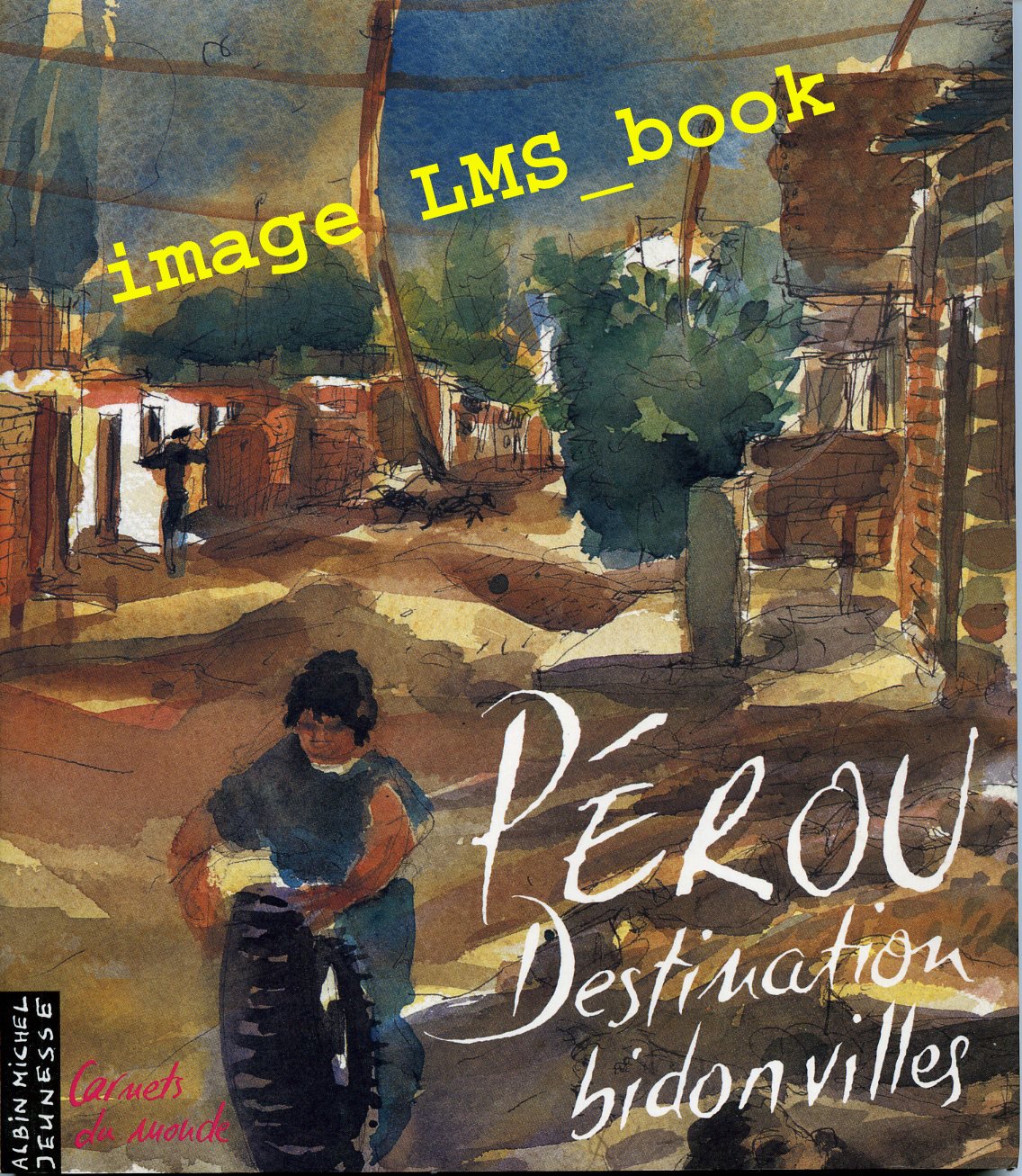 C18- perou destination bidonvilles (Carnets du Mond) Books