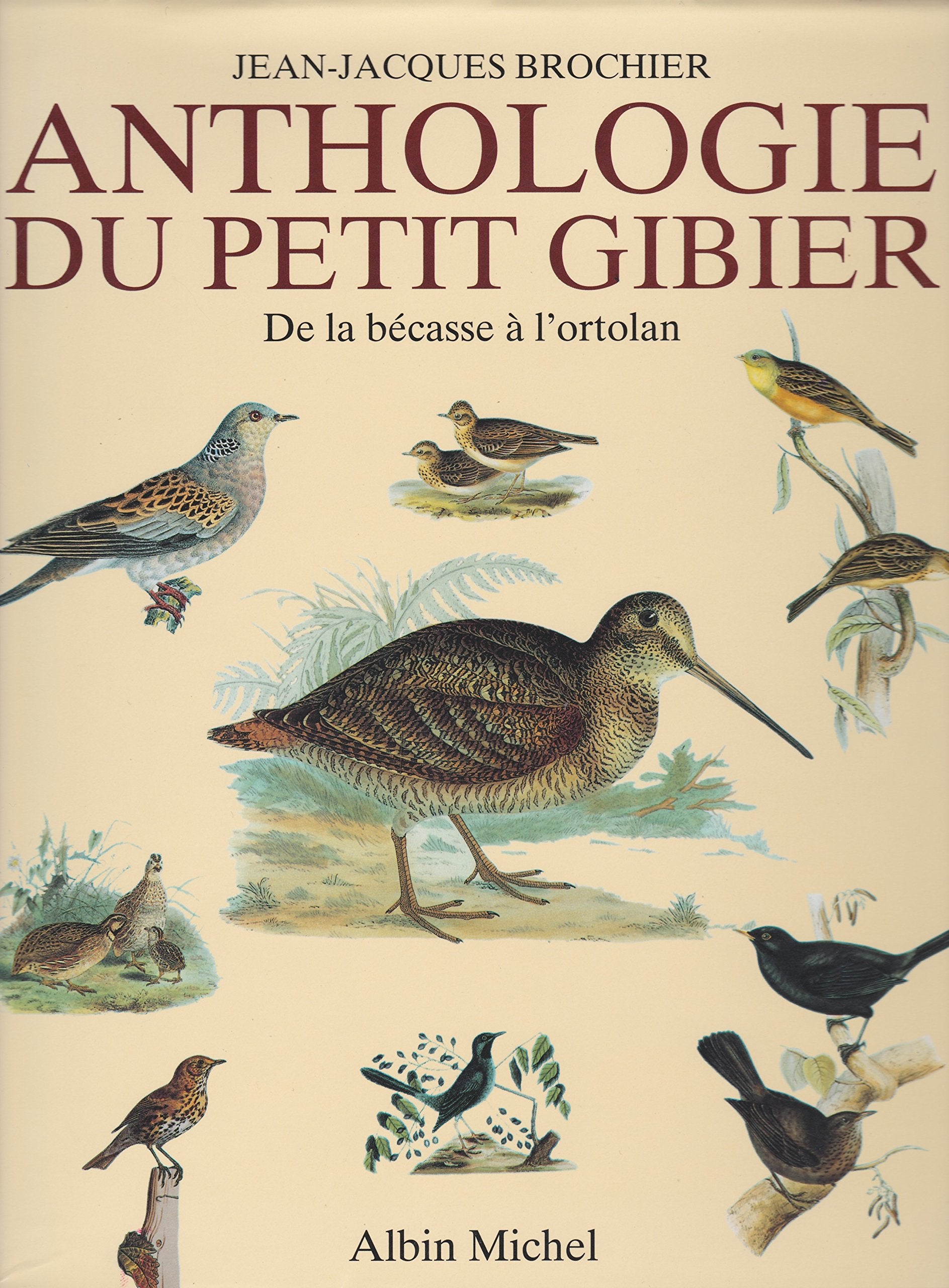 Anthologie du petit gibier : de la bécasse à l'ortolan Books