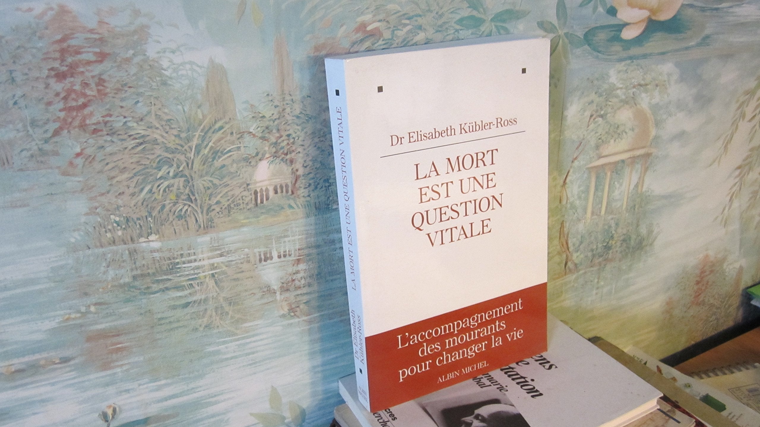 La mort est une question vitale : l'accompagnement des mourants pour changer la vie Books