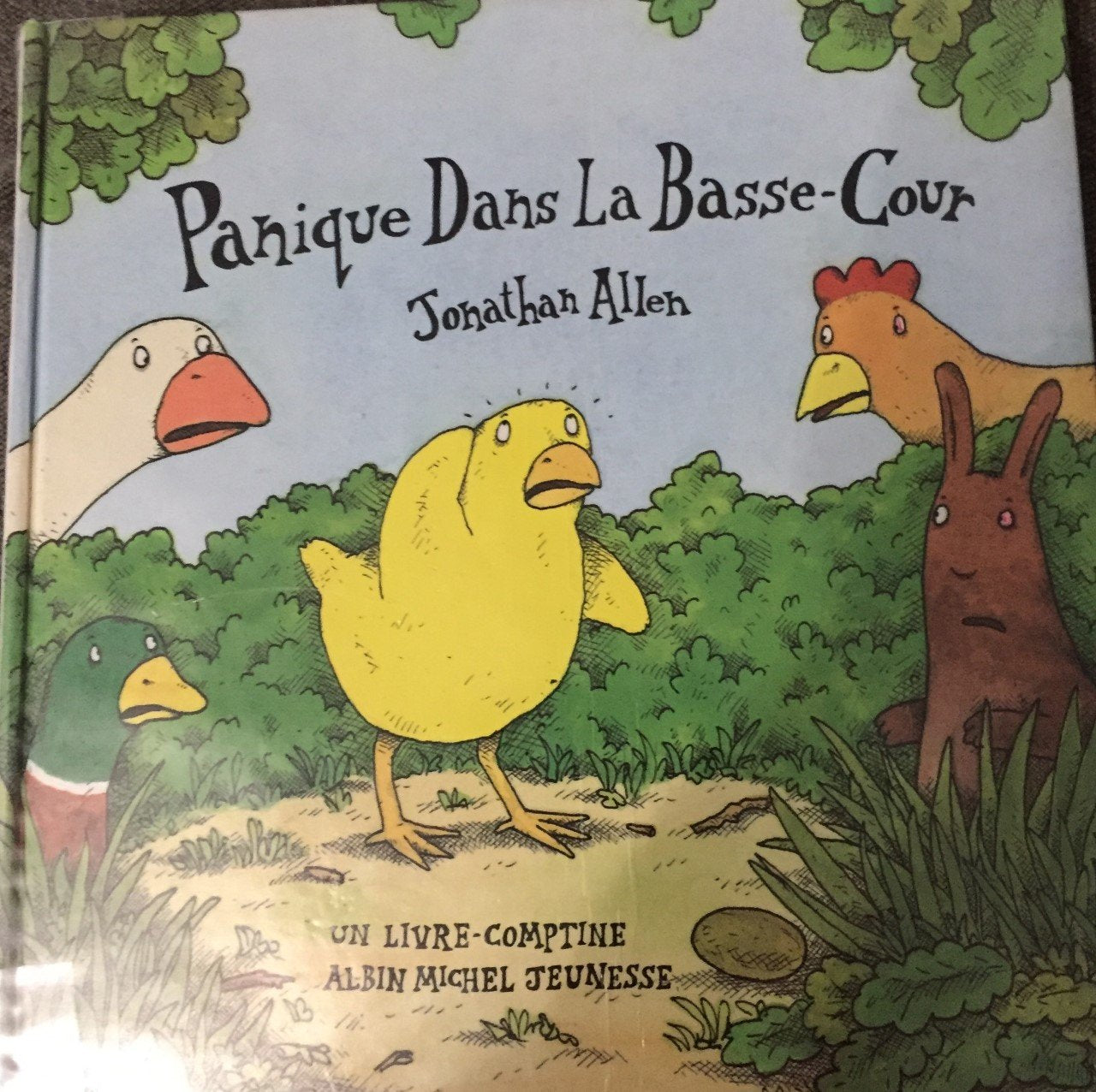 Panique dans la basse-cour: Un livre-comptine Books
