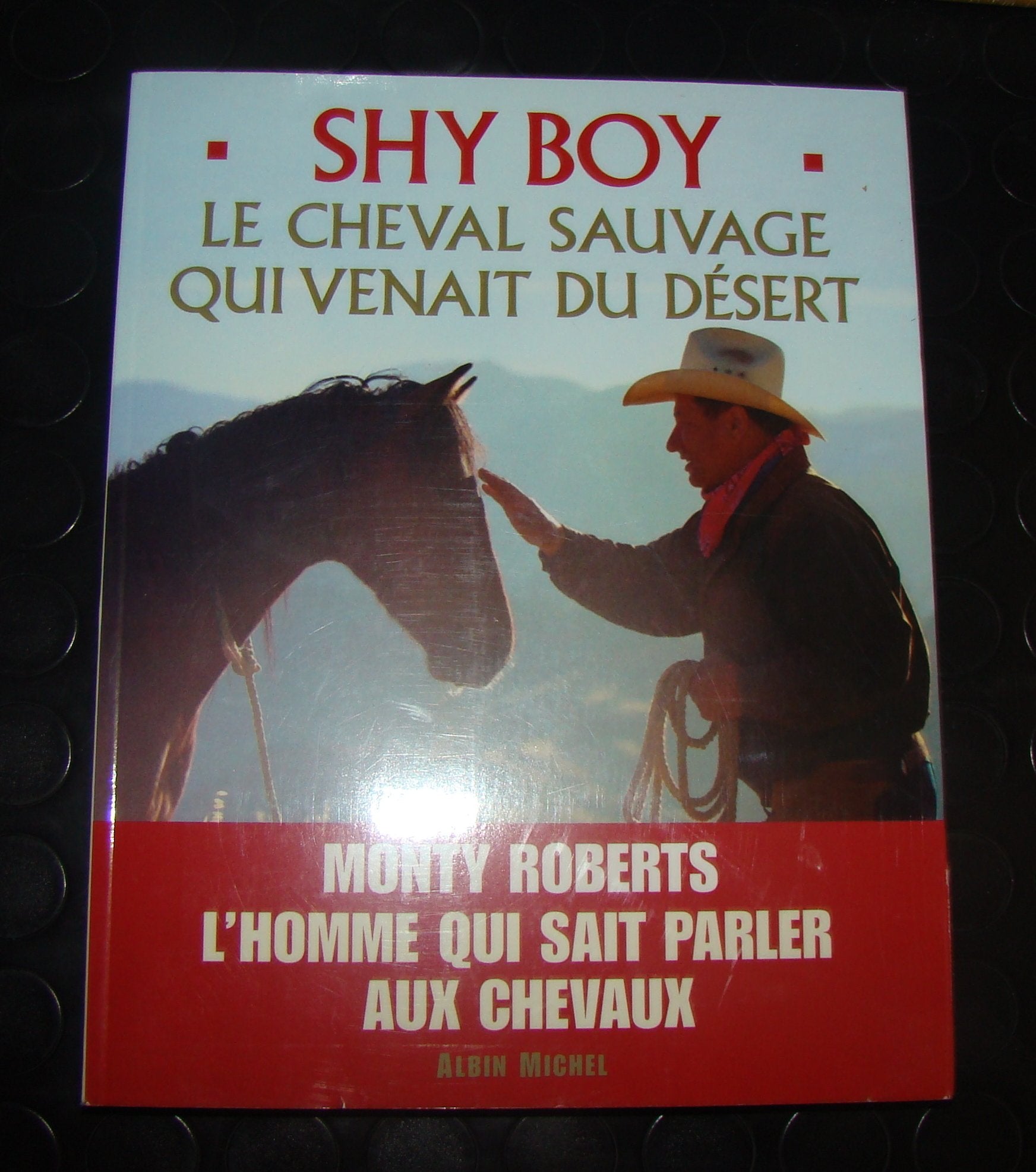 Shy Boy : Le cheval sauvage qui venait du désert book