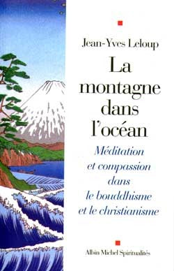 La montagne dans l'océan : méditation et compassion dans le bouddhisme et le christianisme Books