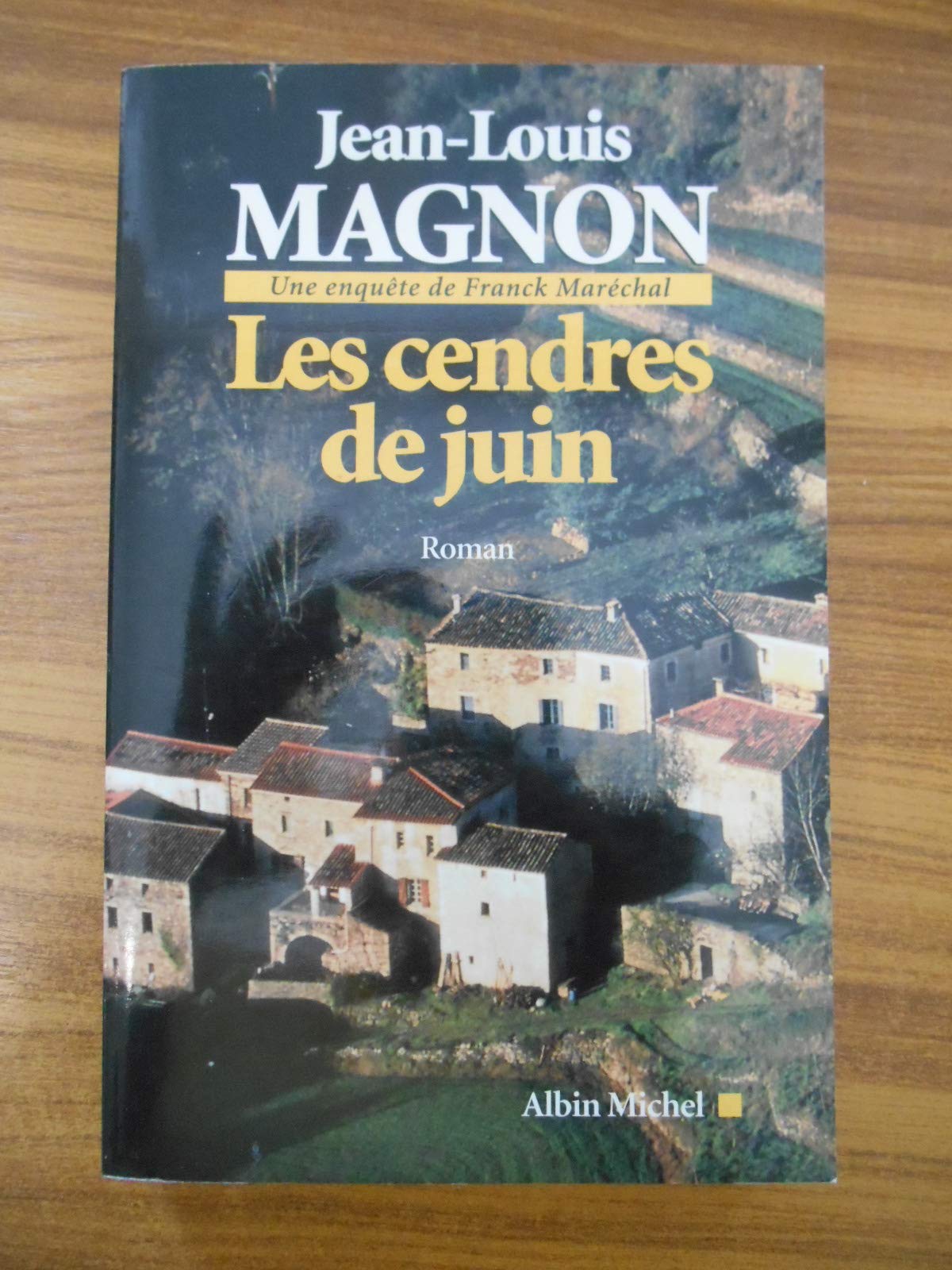 Les Cendres de juin: Une enquête de Franck Maréchal Contemporary literature