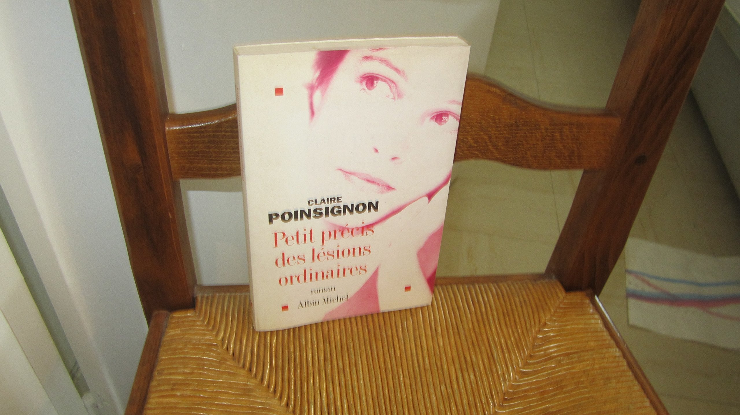 Petit Precis Des Lesions Ordinaires Contemporary literature