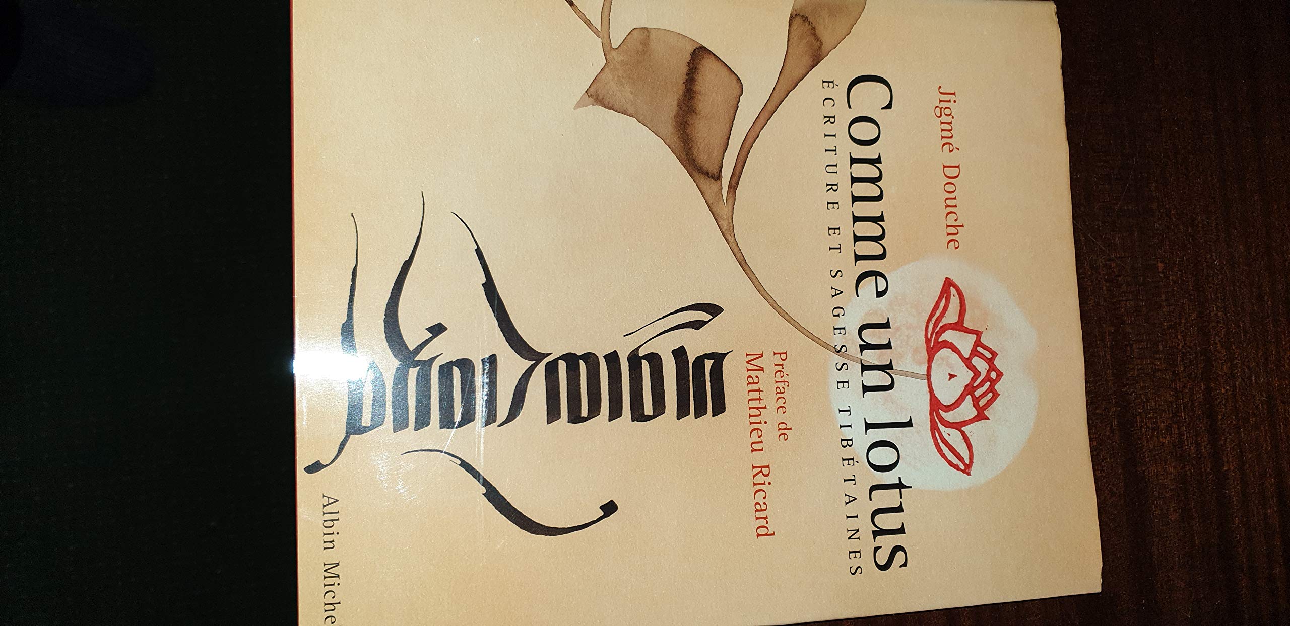 Comme un lotus : Ecriture et sagesse tibétaines Social Sciences