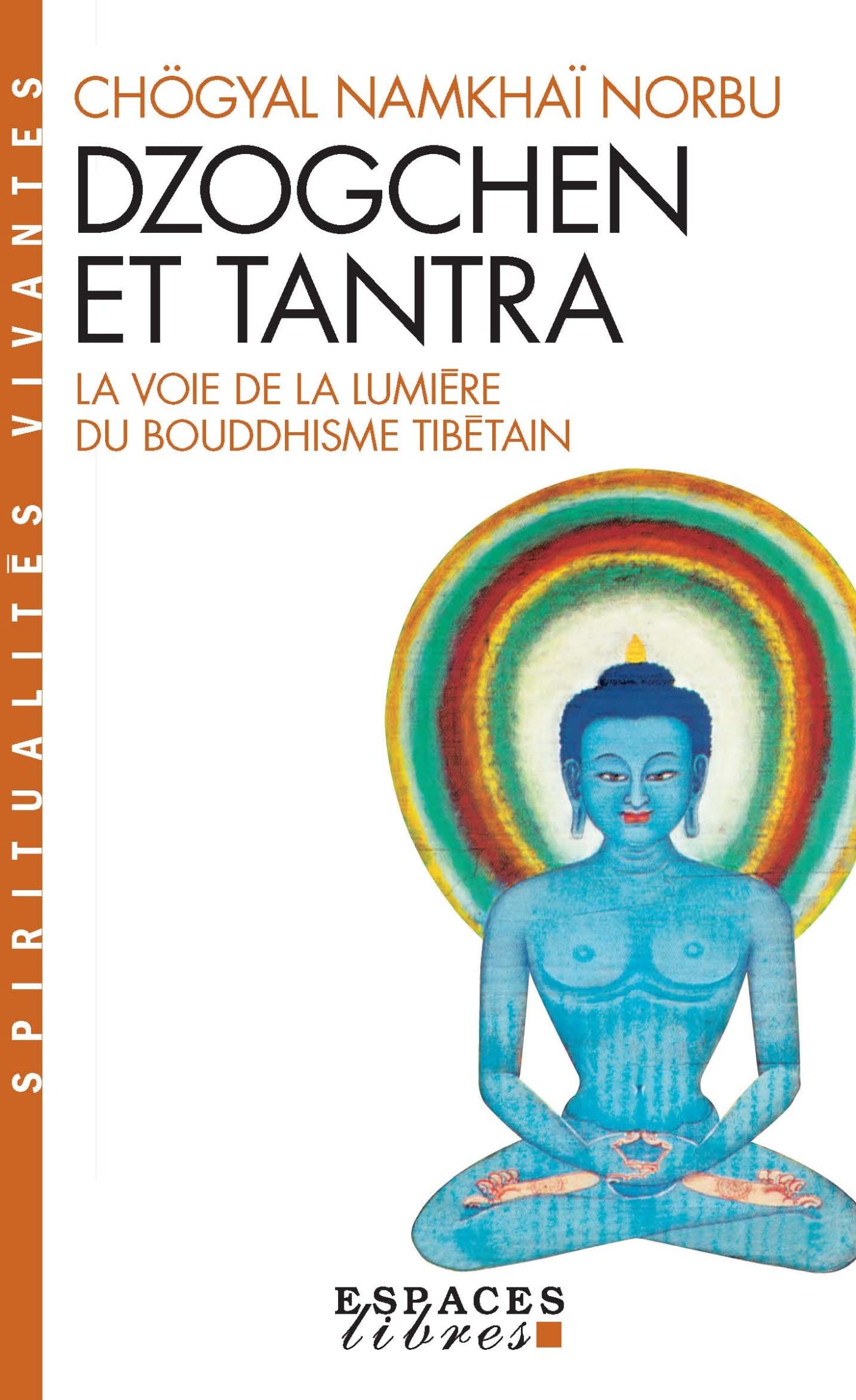 Dzogchen et tantra : La Voie de la Lumière du bouddhisme tibétain Social Sciences
