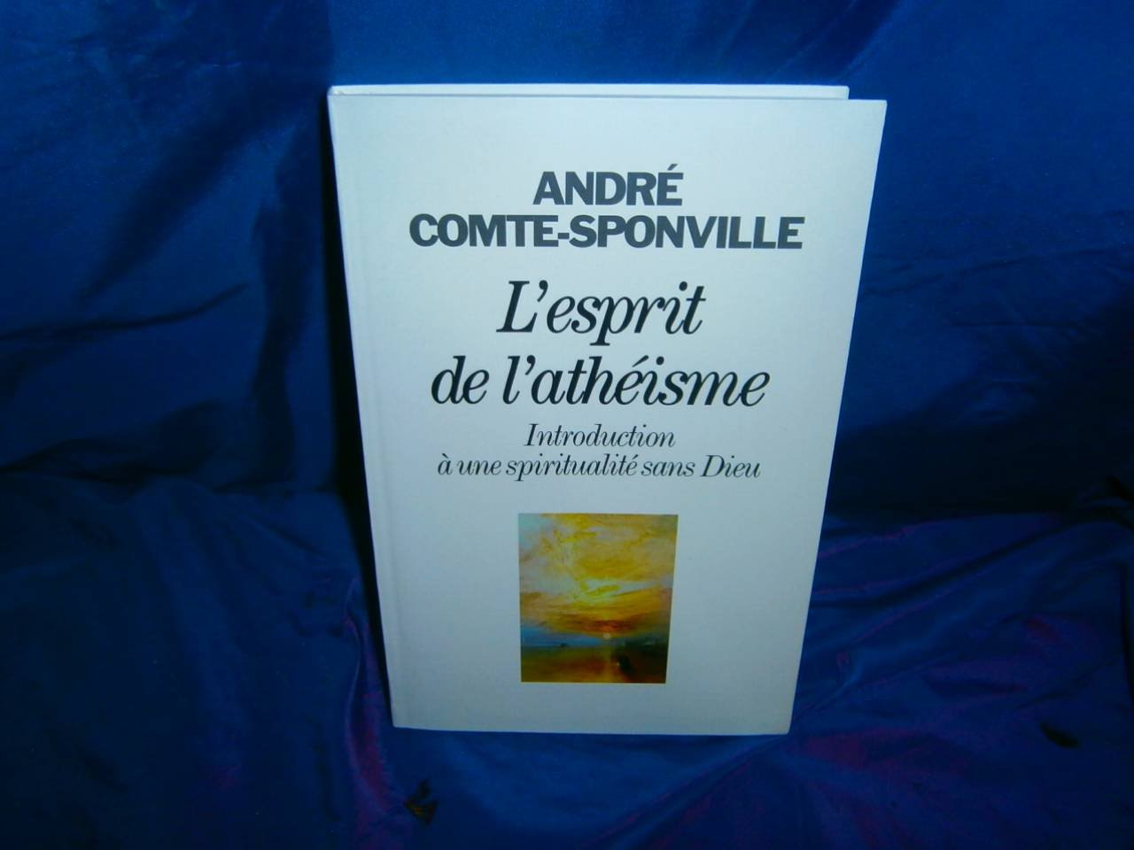 L'esprit de l'athéisme : Introduction à une spiritualité sans Dieu Philosophy
