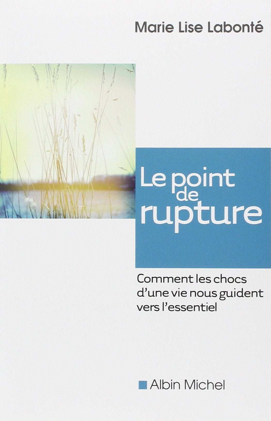 Le Point de Rupture: Comment Les Chocs d'Une Vie Nous Guident Vers l'Essentiel Lifestyle