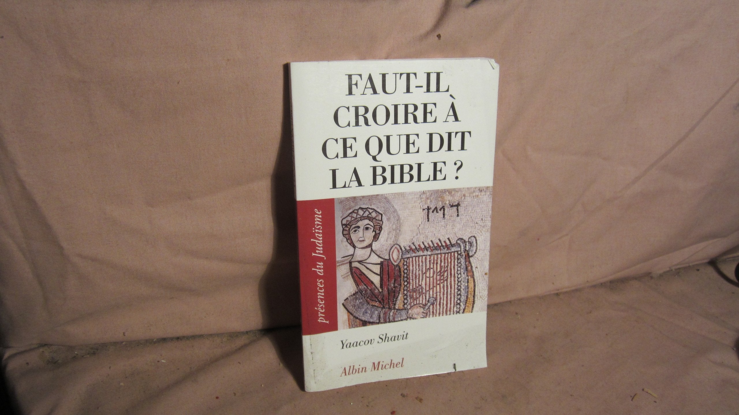 Faut-Il Croire a Ce Que Dit La Bible ? Social Sciences