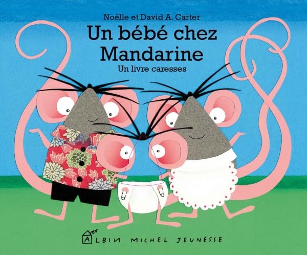 Un bébé chez Mandarine: Un livre caresses book