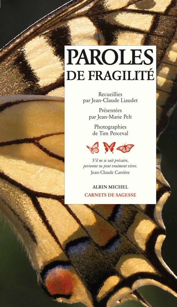 Paroles de fragilité book