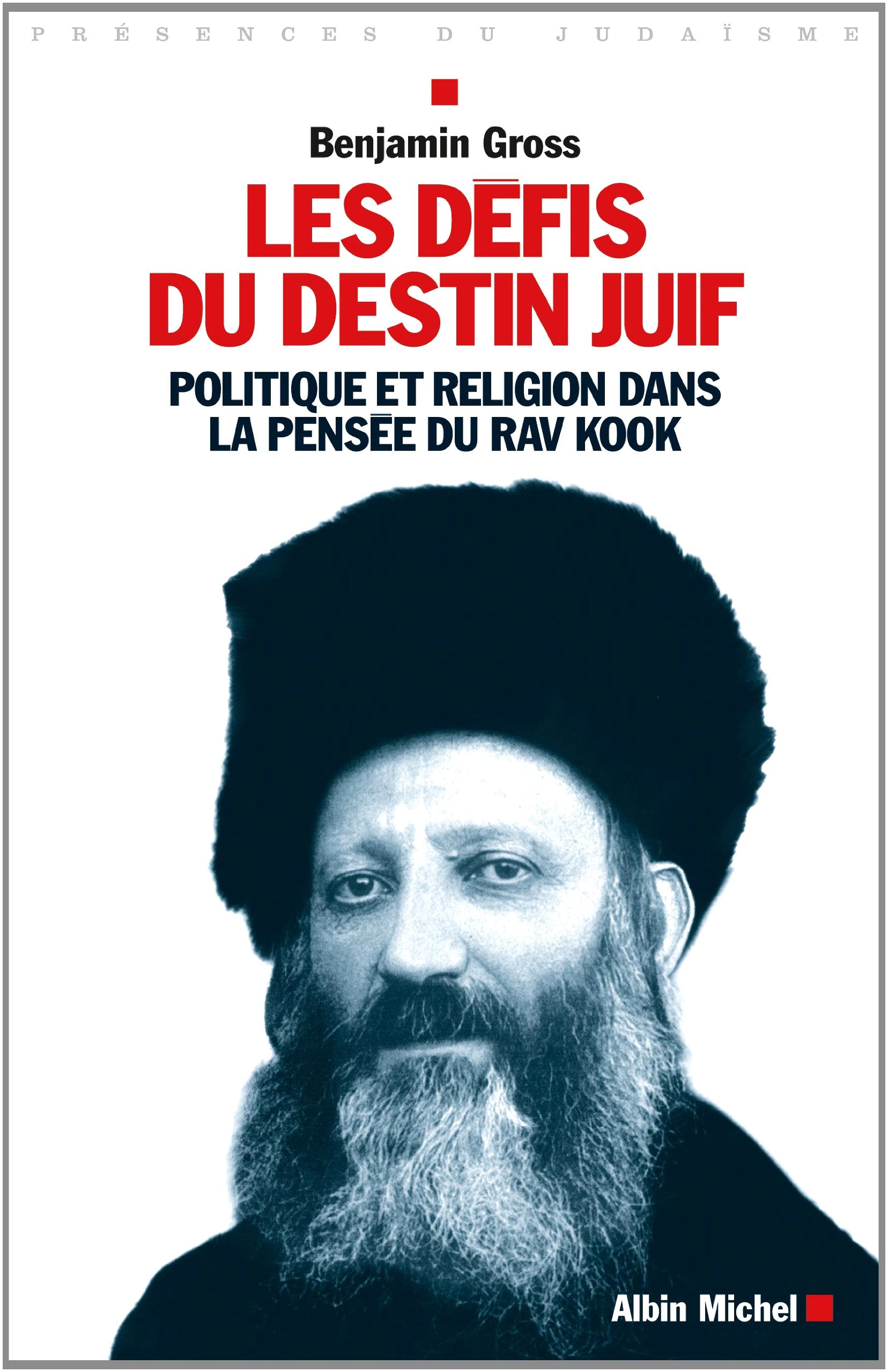 Les Défis du destin juif: Politique et religion dans la pensée du Rav Kook book