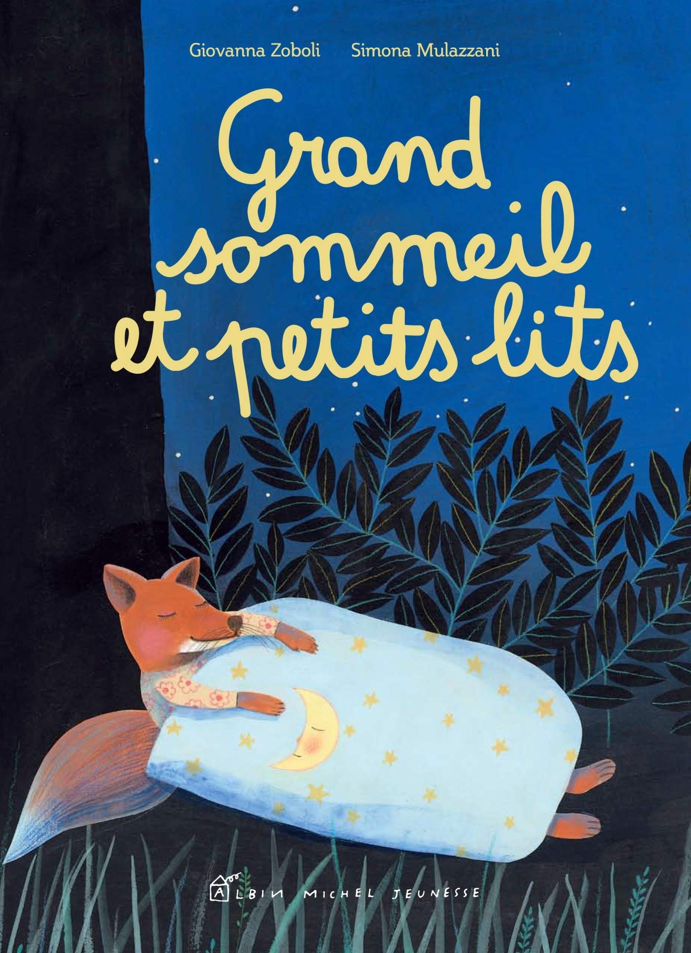 Grand sommeil et petits lits book