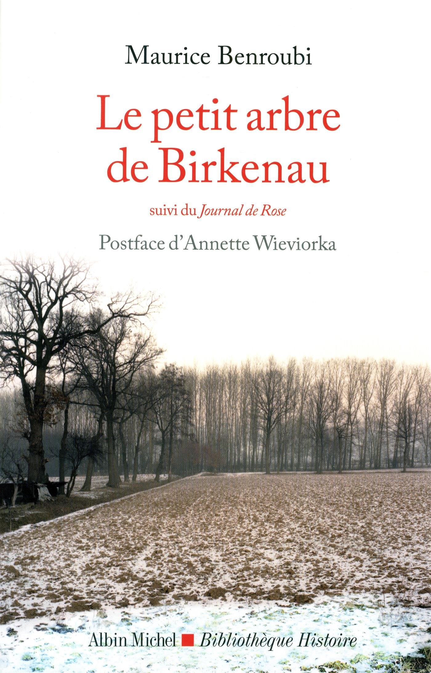 Le Petit Arbre de Birkenau: suivi du Journal de Rose book