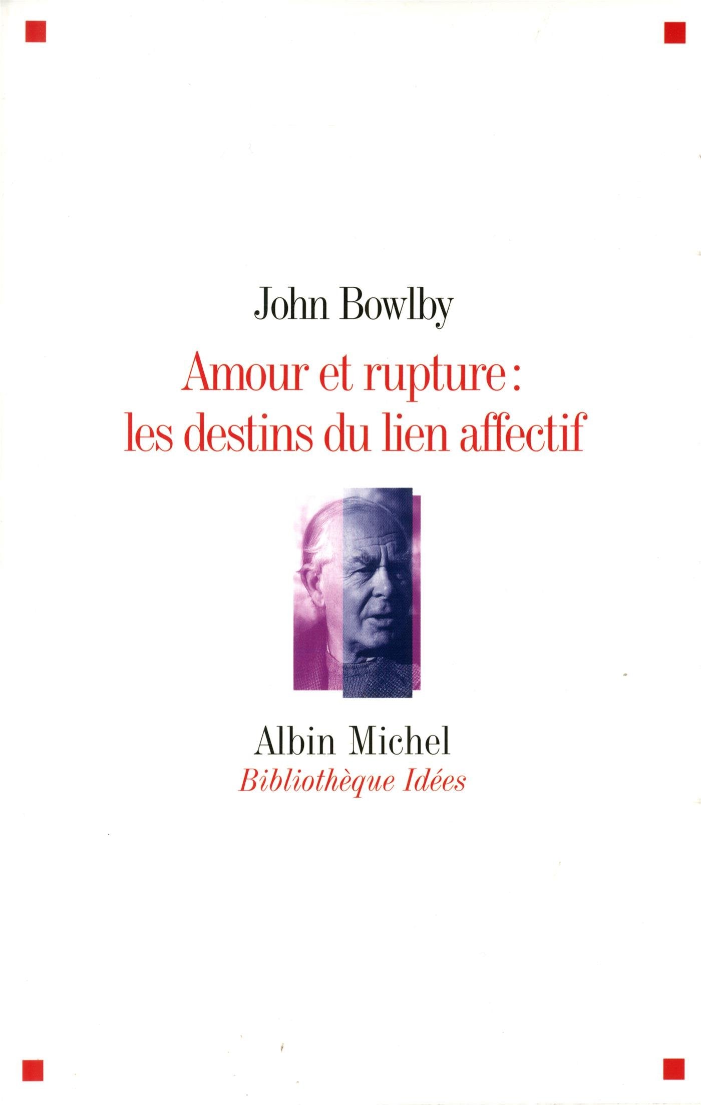 Amour et rupture : les destins des liens affectifs book