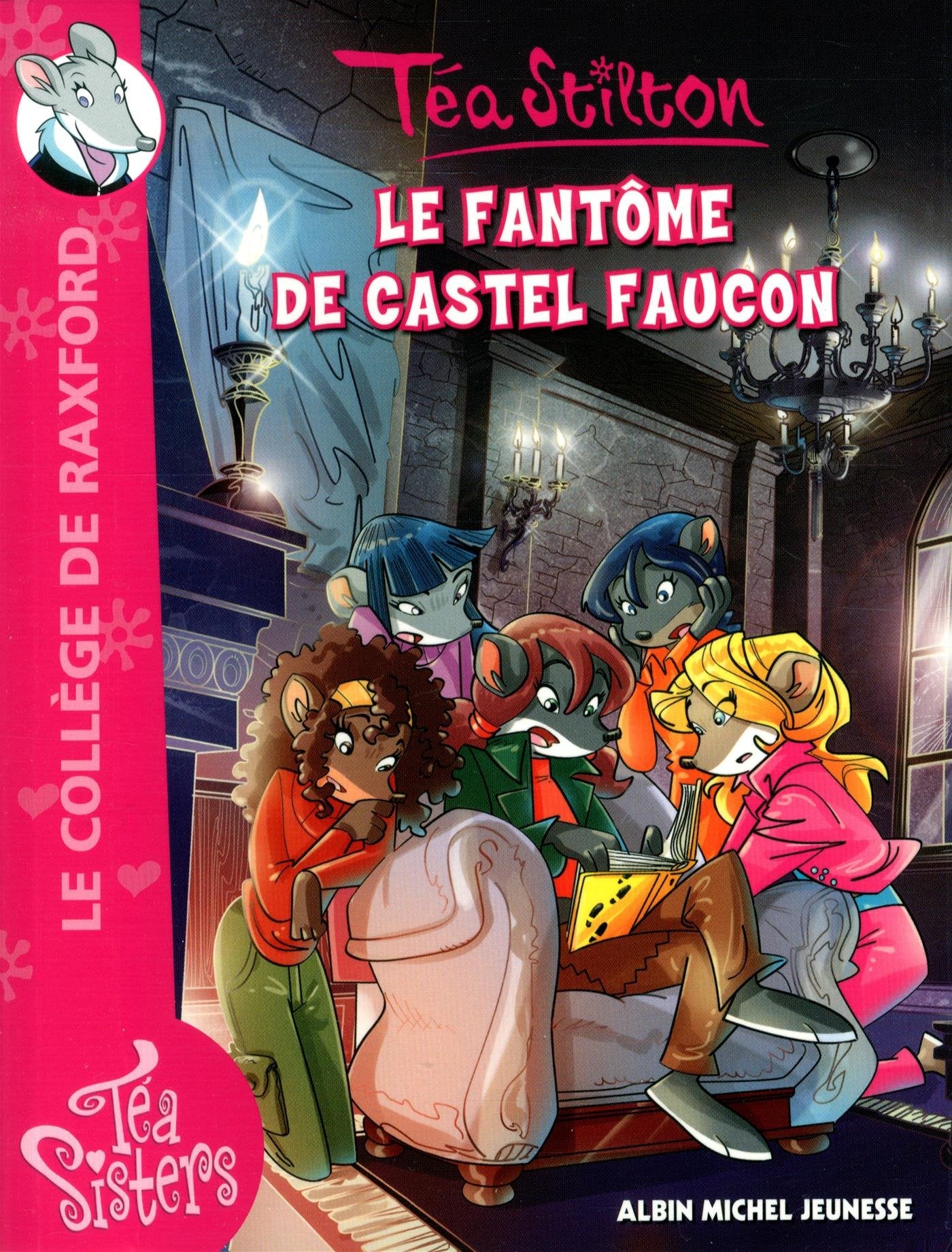 Le fantôme de Castel Faucon book