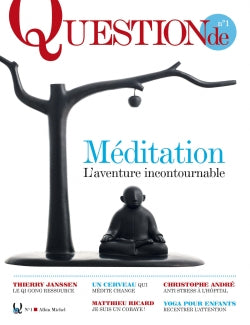 Question de, n° 1. Méditation : l'aventure incontournable Contemporary literature