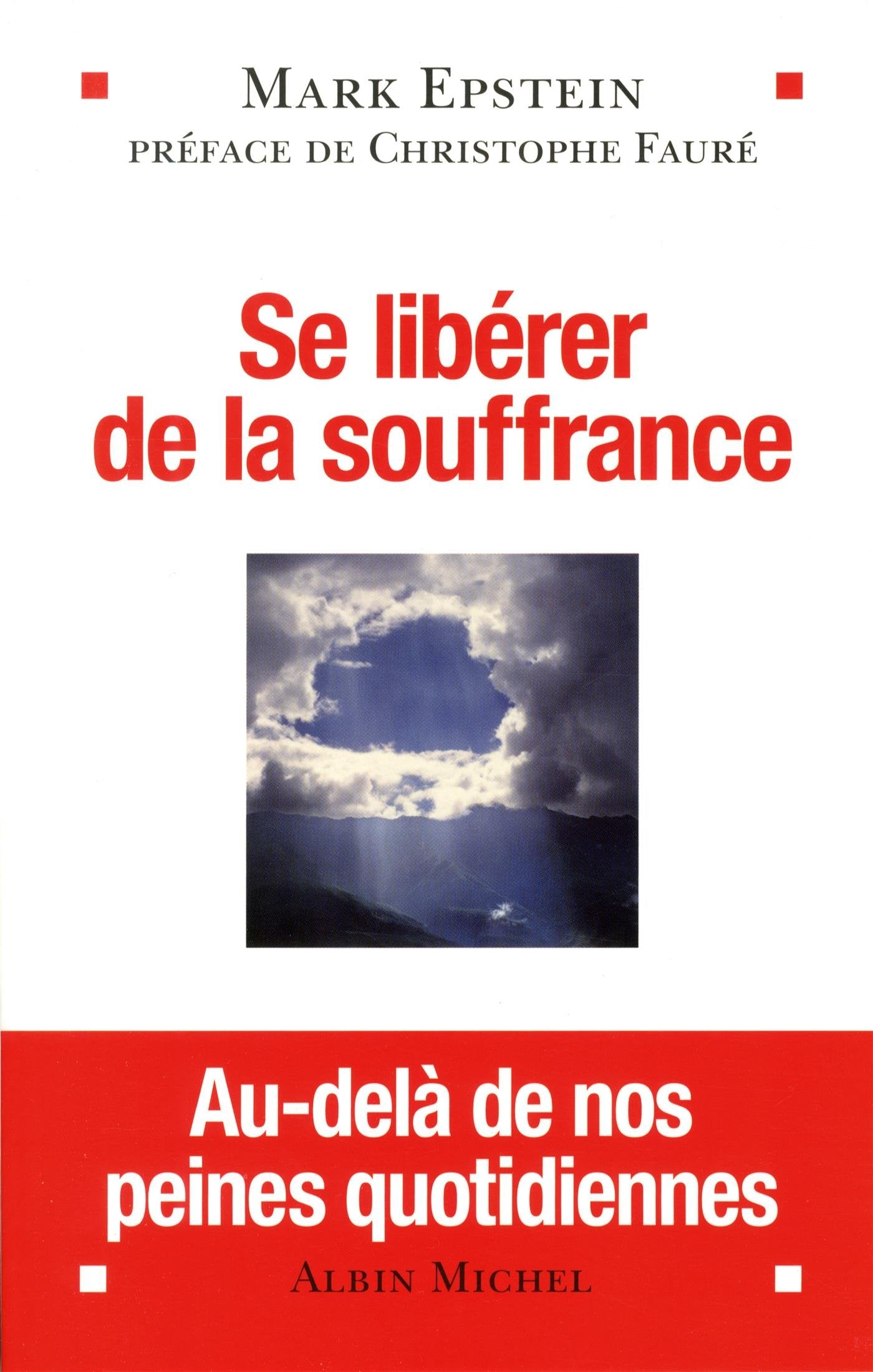 Se libérer de la souffrance: Au-delà de nos peines quotidiennes book