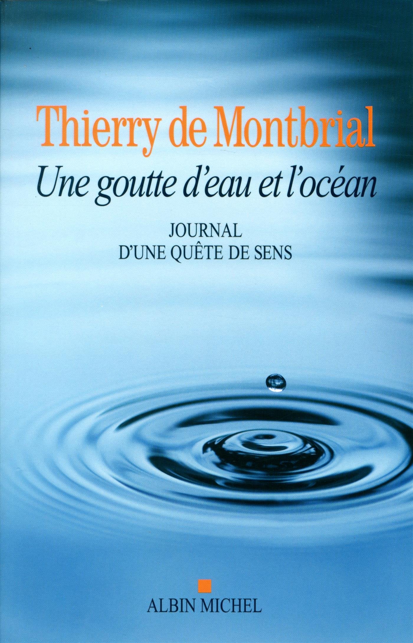 Une goutte d'eau et l'océan: Journal d'une quête de sens 1977-2014 Religion & Esotericism