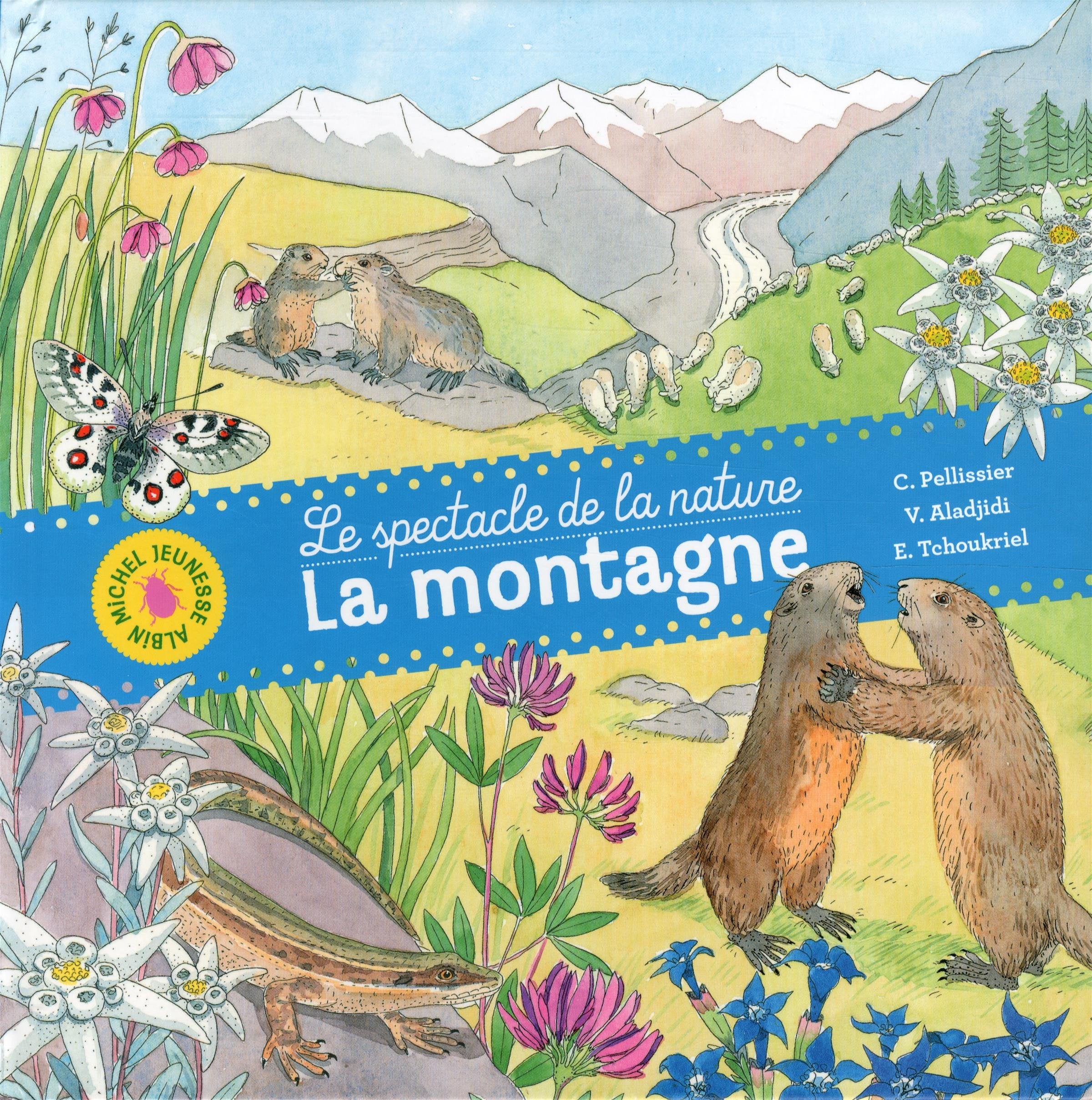 La Montagne: Le spectacle de la nature Children's books