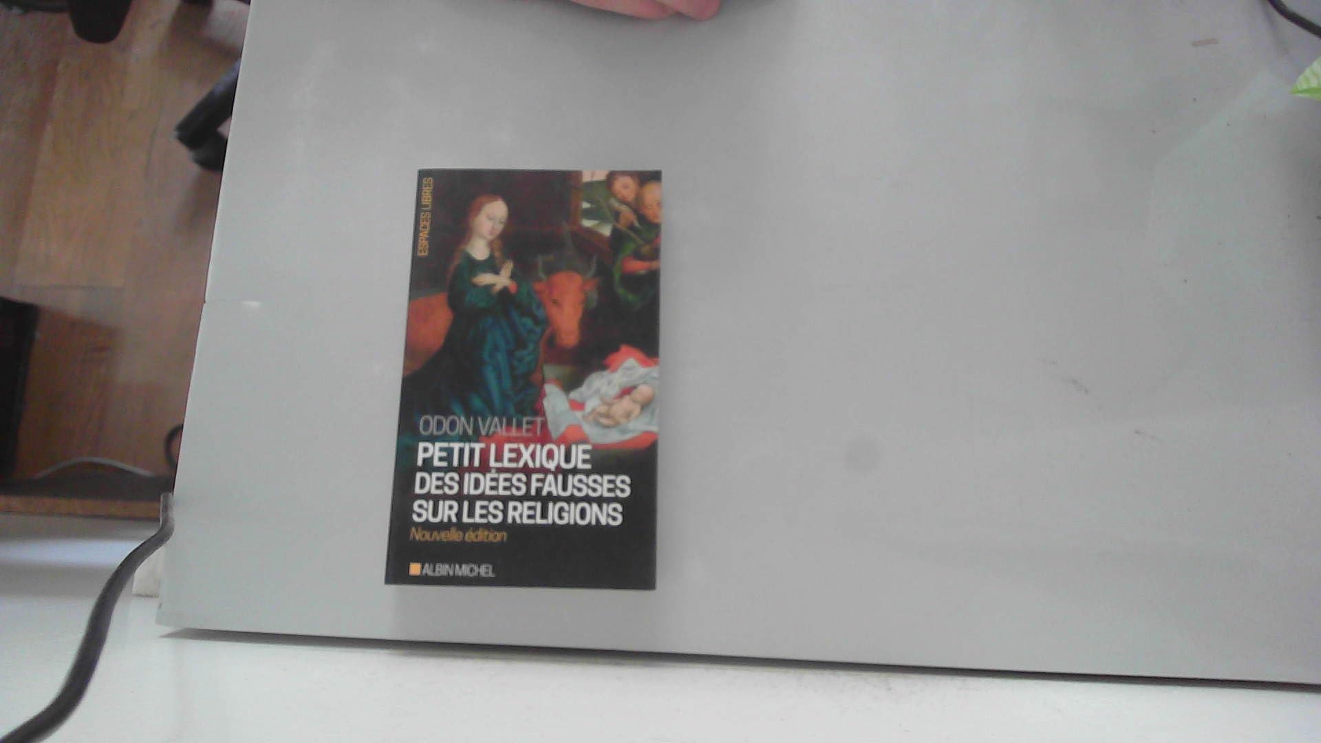 Petit Lexique des idées fausses sur les religions Philosophy