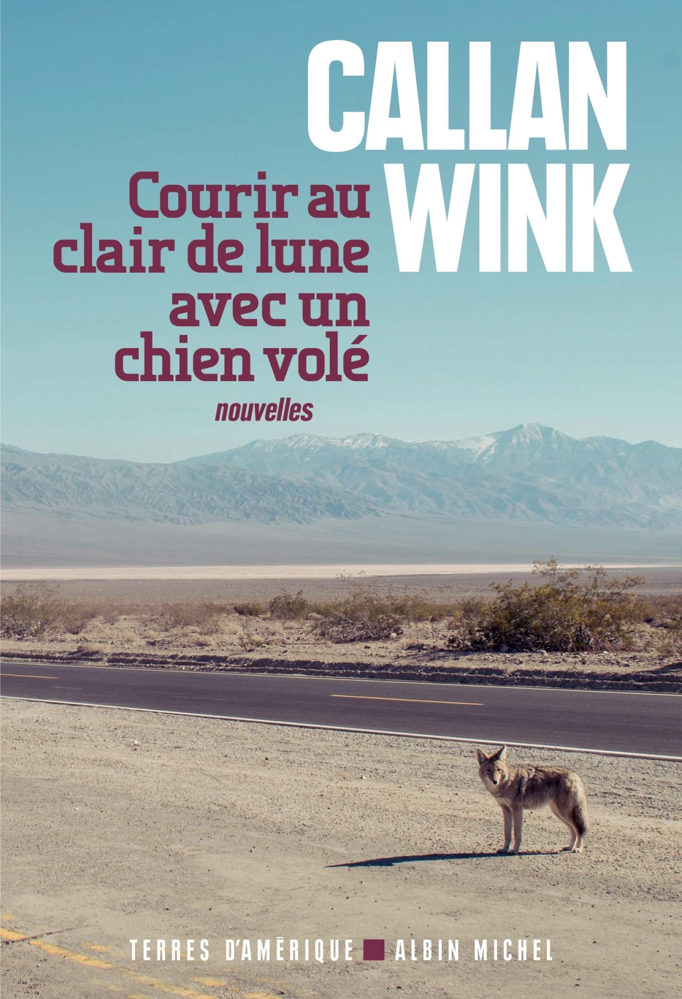 Courir au clair de lune avec un chien volé book