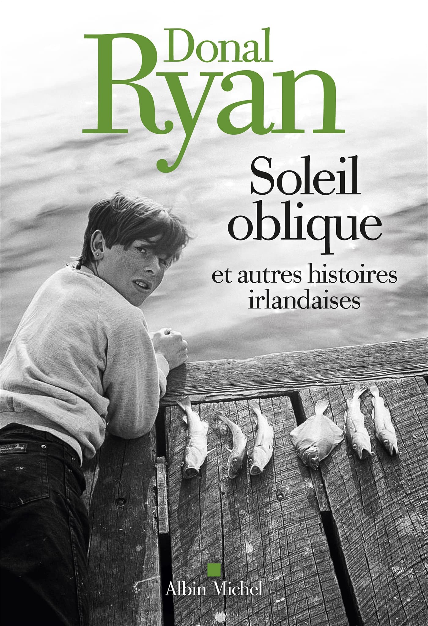 Soleil oblique et autres histoires irlandaises Contemporary literature