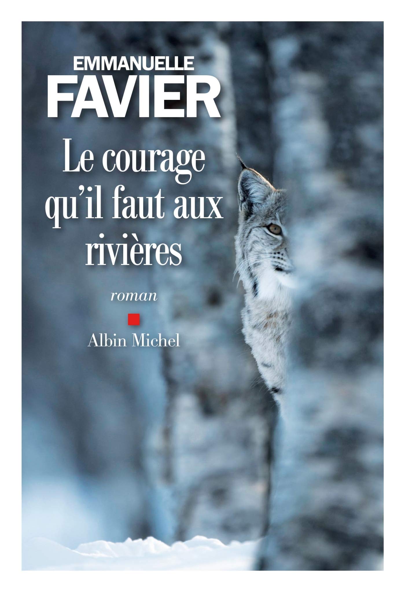 Le Courage qu'il faut aux rivières Contemporary literature