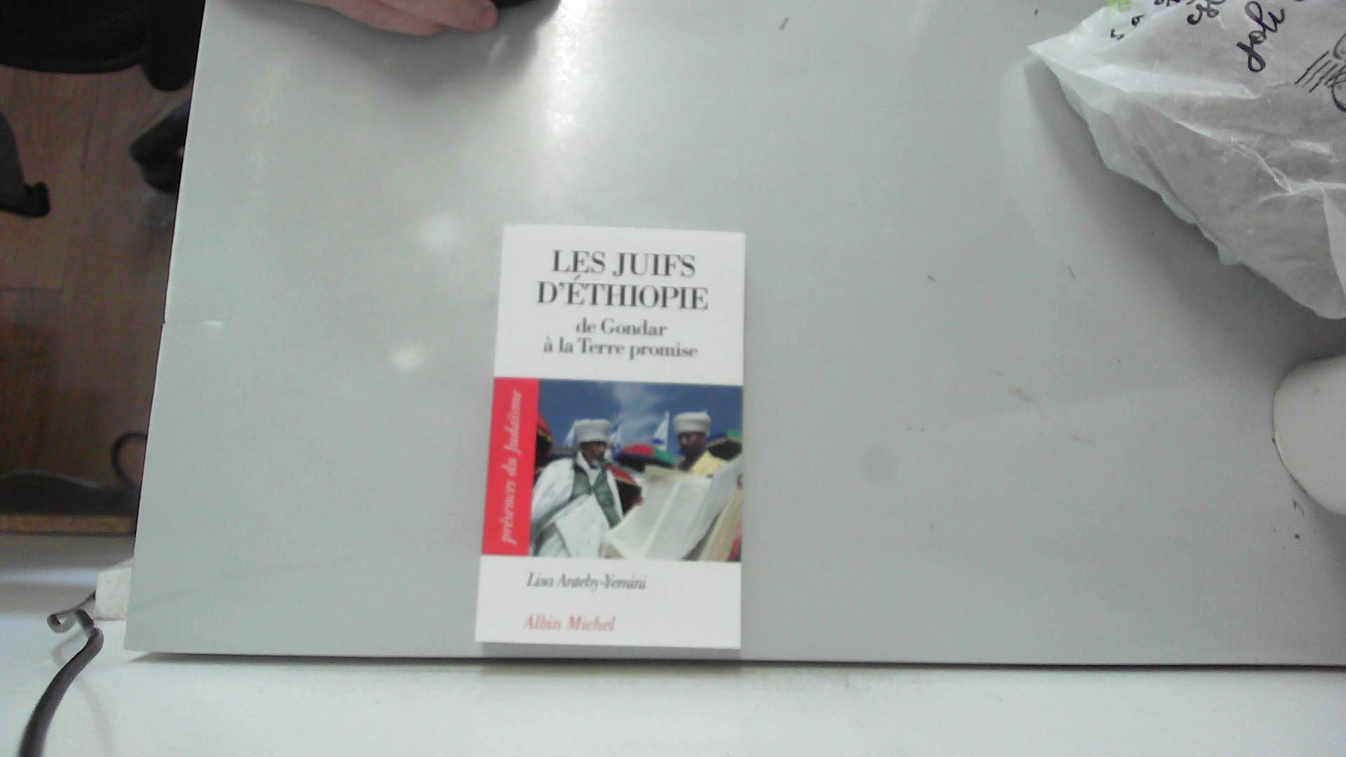 Les Juifs d'Ethiopie: De Gondar à la Terre promise book