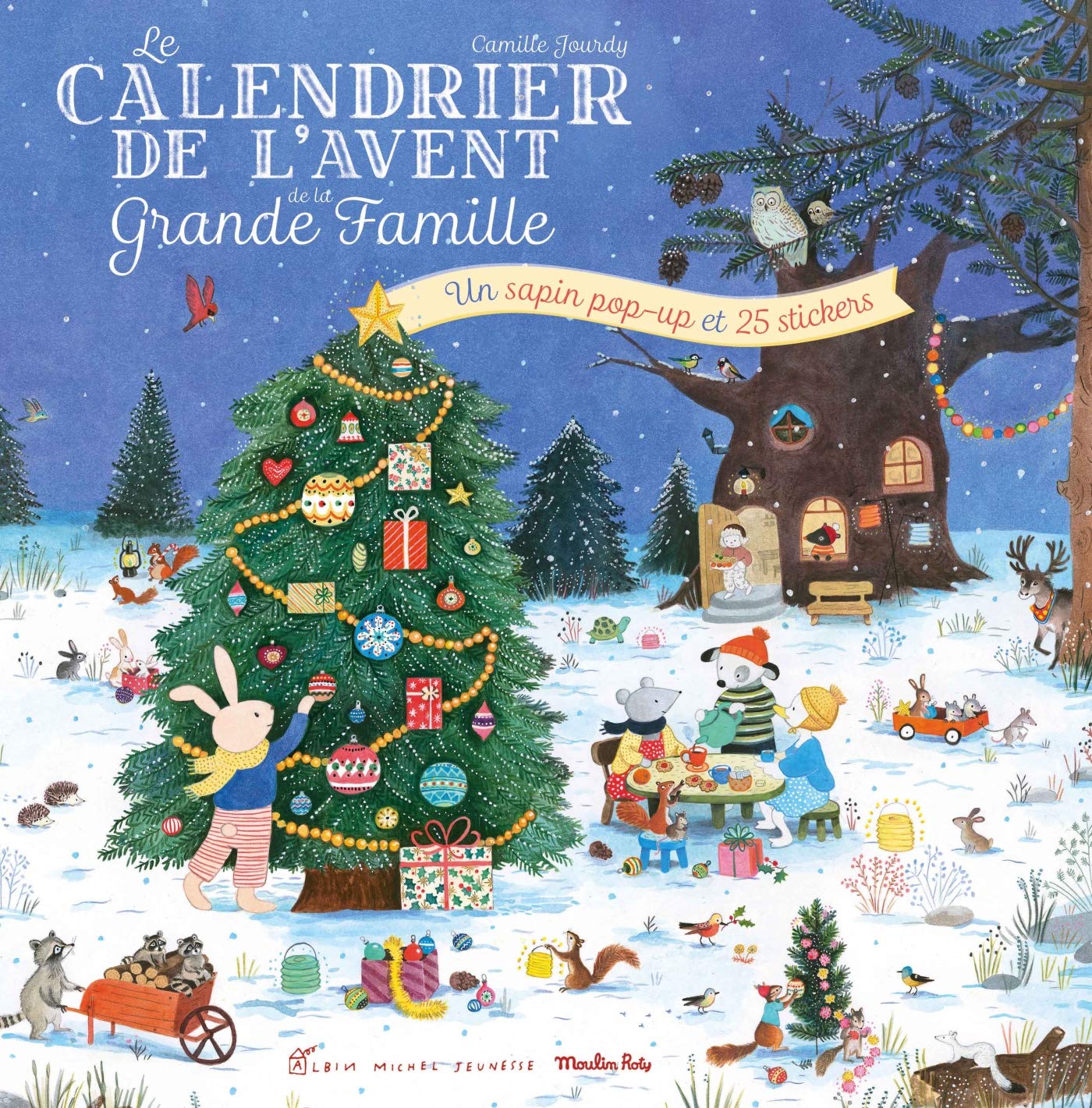 Calendrier de l'avent de la grande famille book