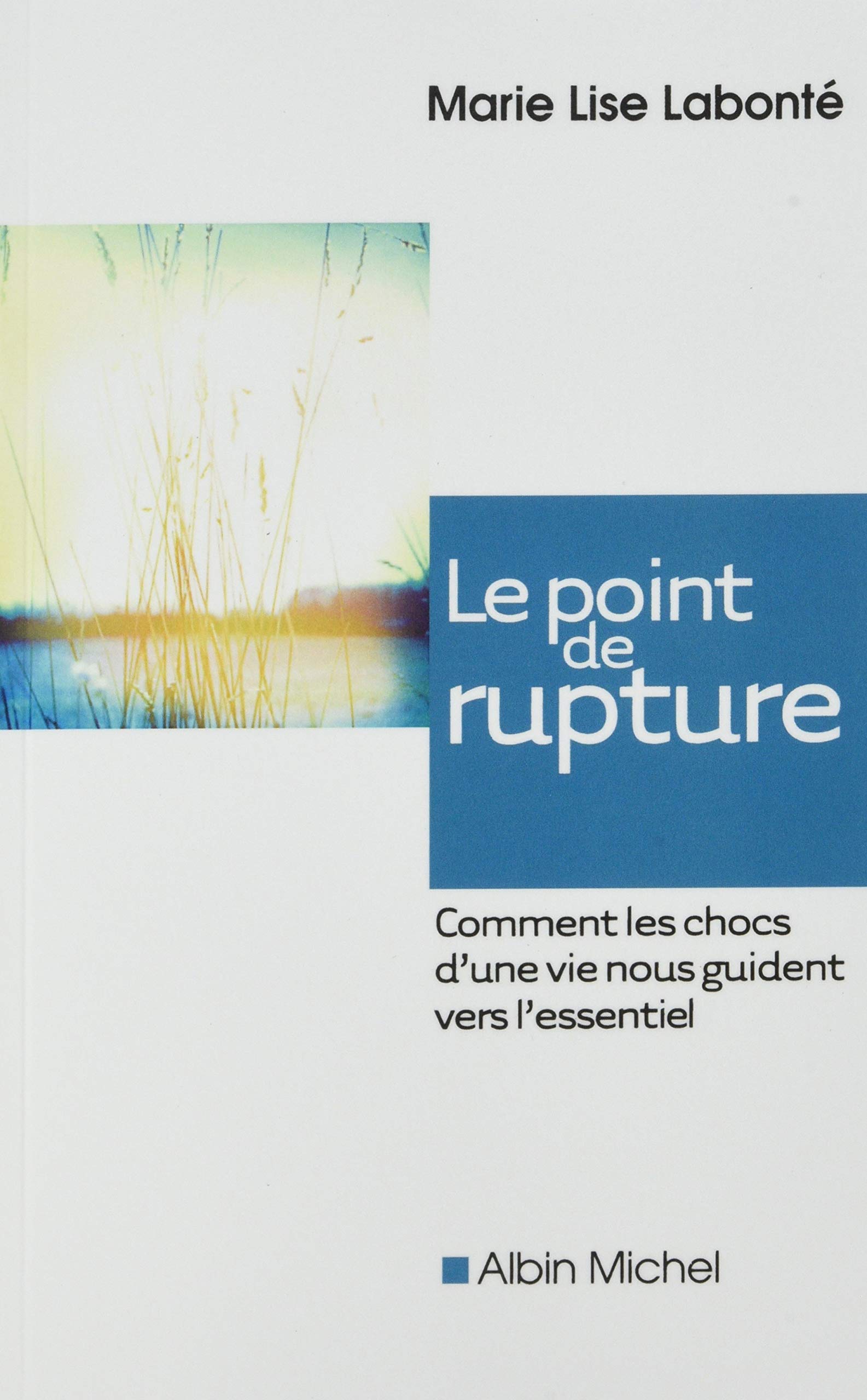 Le Point de rupture: Comment les chocs d'une vie nous guident vers l'essentiel book